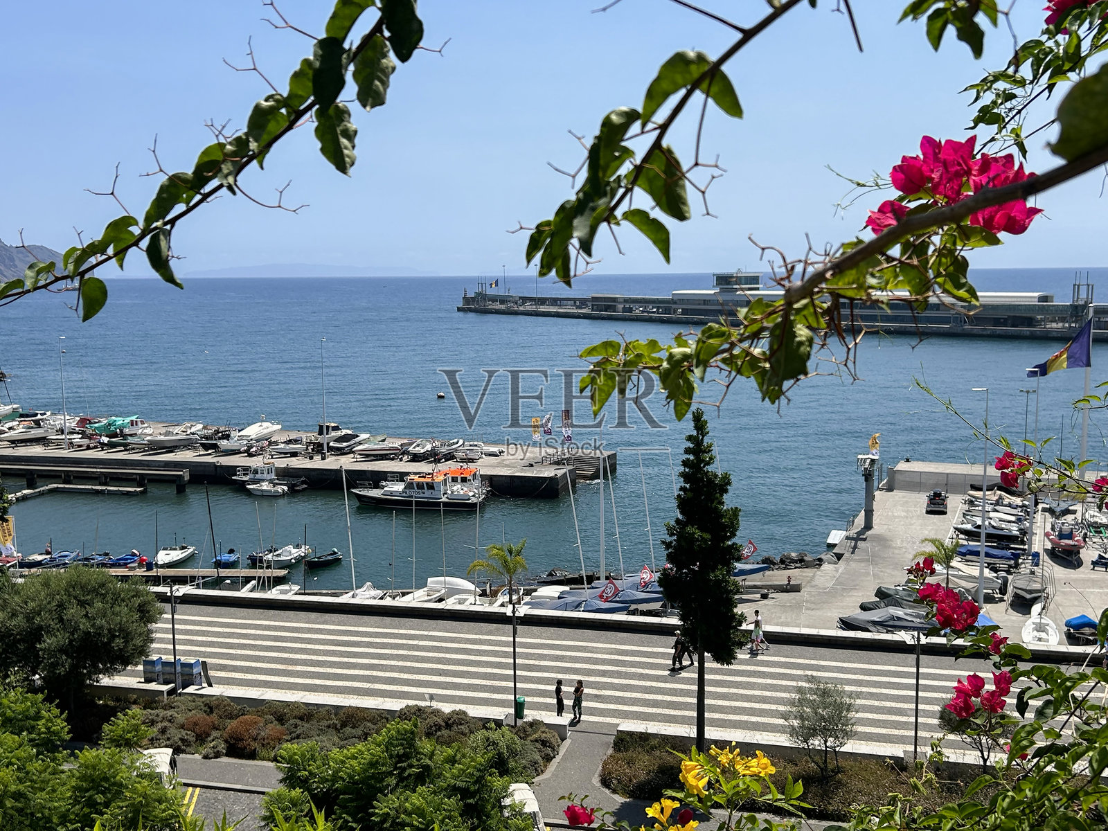 夏日的海港和城市景观。丰沙尔。马德拉岛。葡萄牙。照片摄影图片