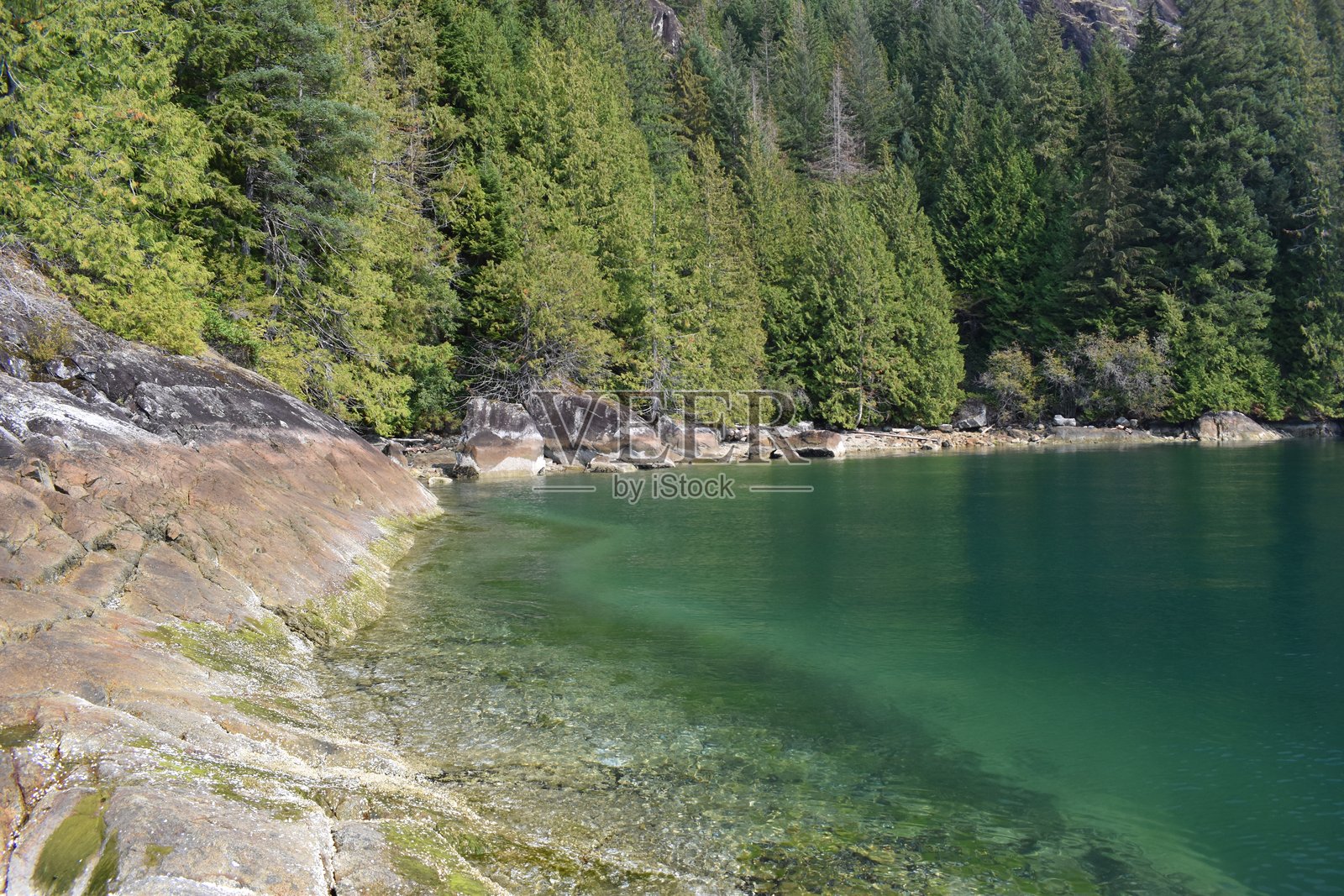 海湾声音，BC的皮划艇和露营之旅照片摄影图片