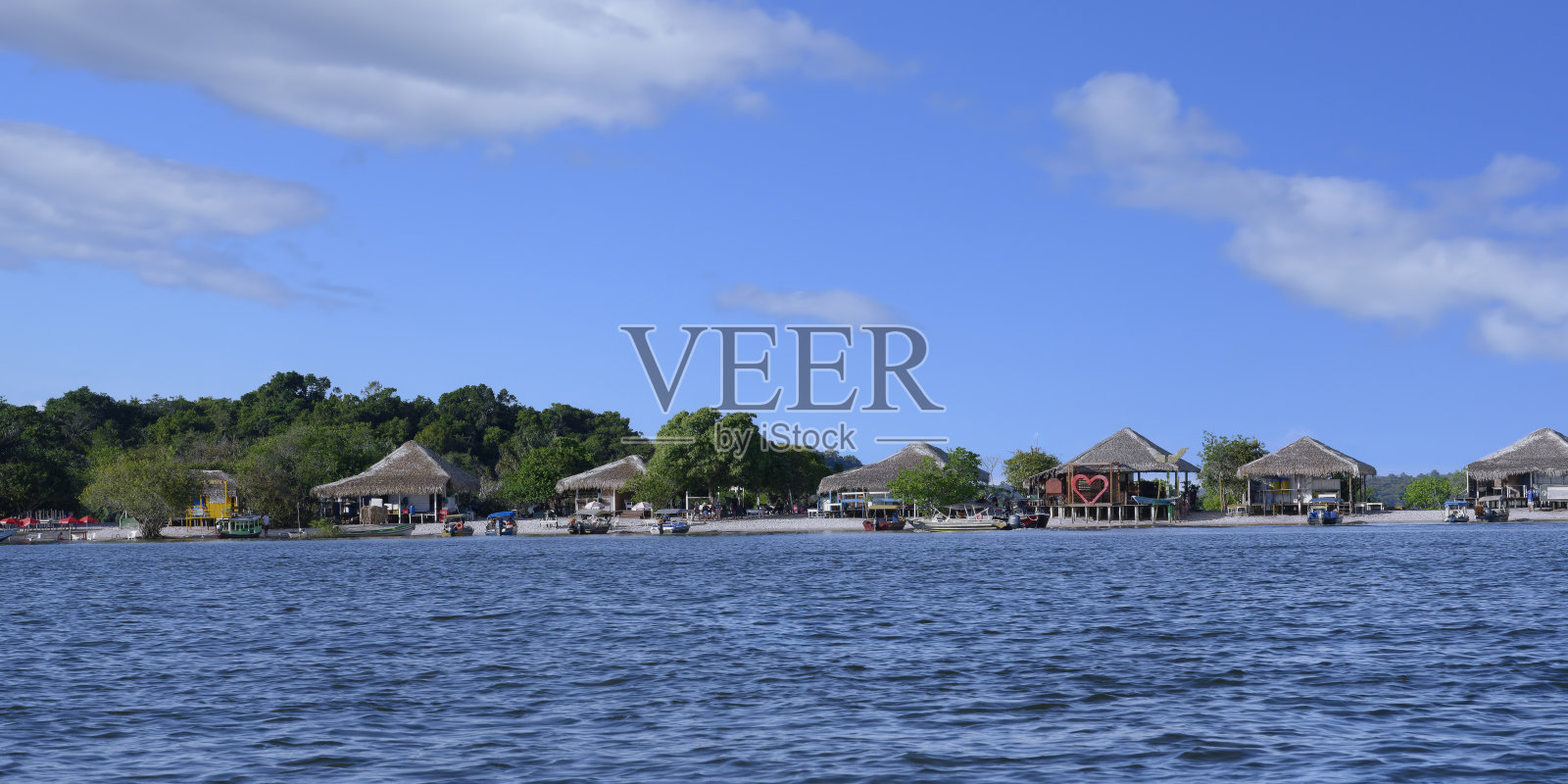 被洪水淹没的森林照片摄影图片