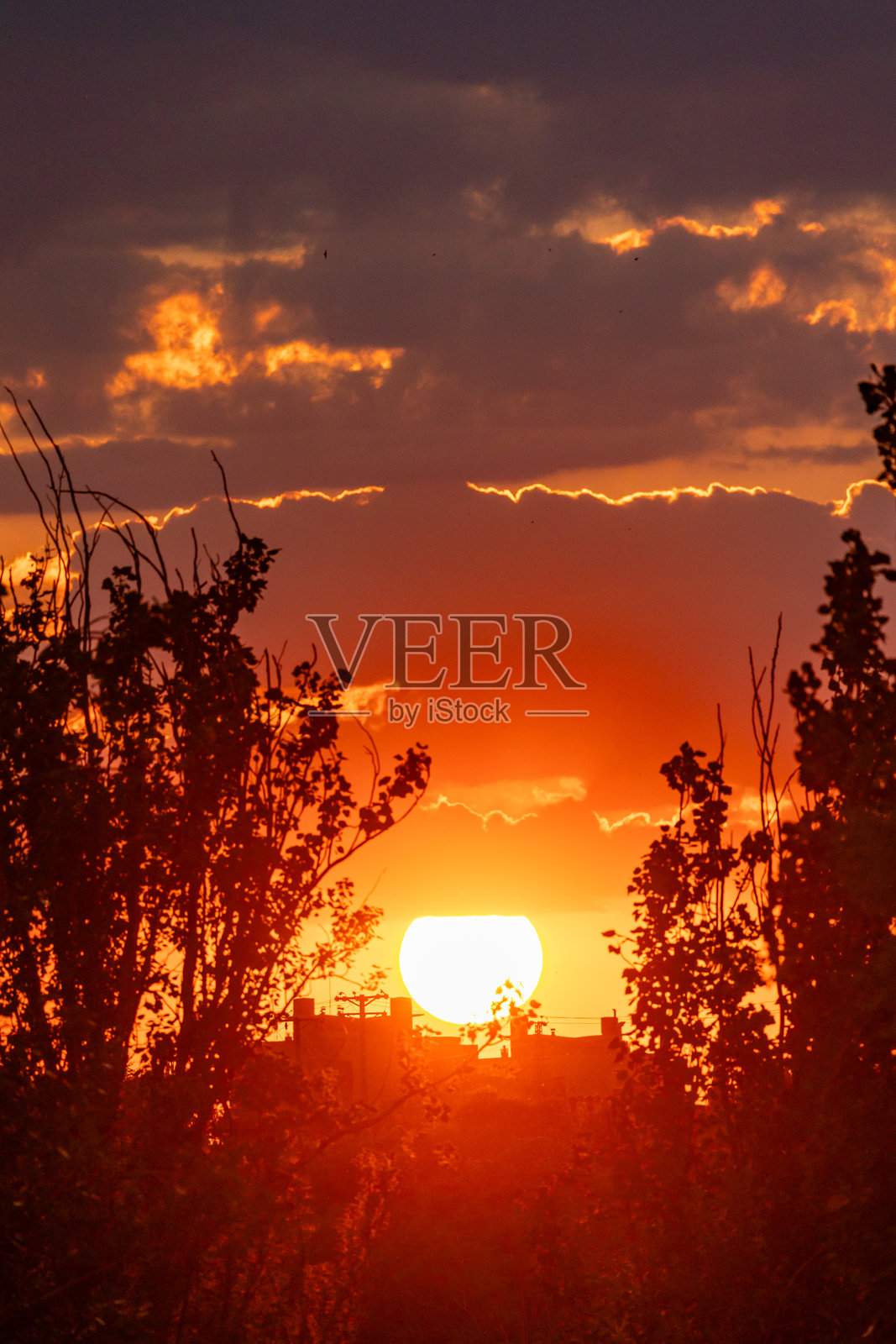 马德里霍塔雷萨社区的日出照片摄影图片