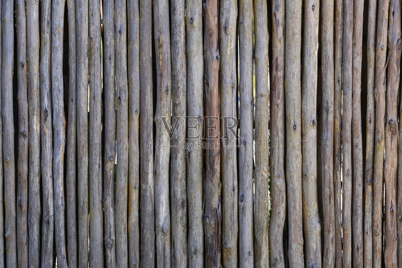 连接在一起的桉树木材形成的面板。照片摄影图片