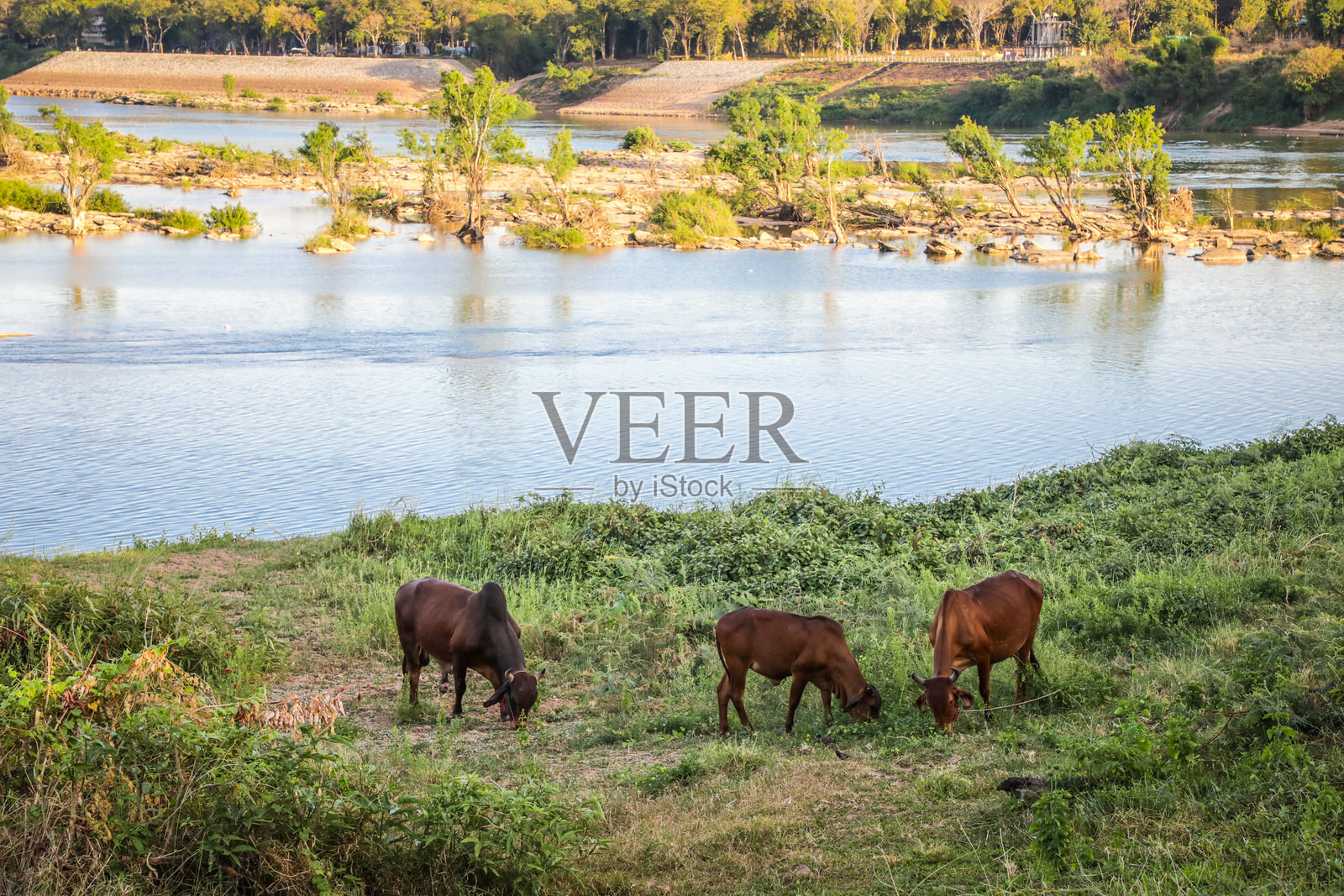 瓦特孔恰姆或瓦特班丹考，乌汶叻差他尼照片摄影图片