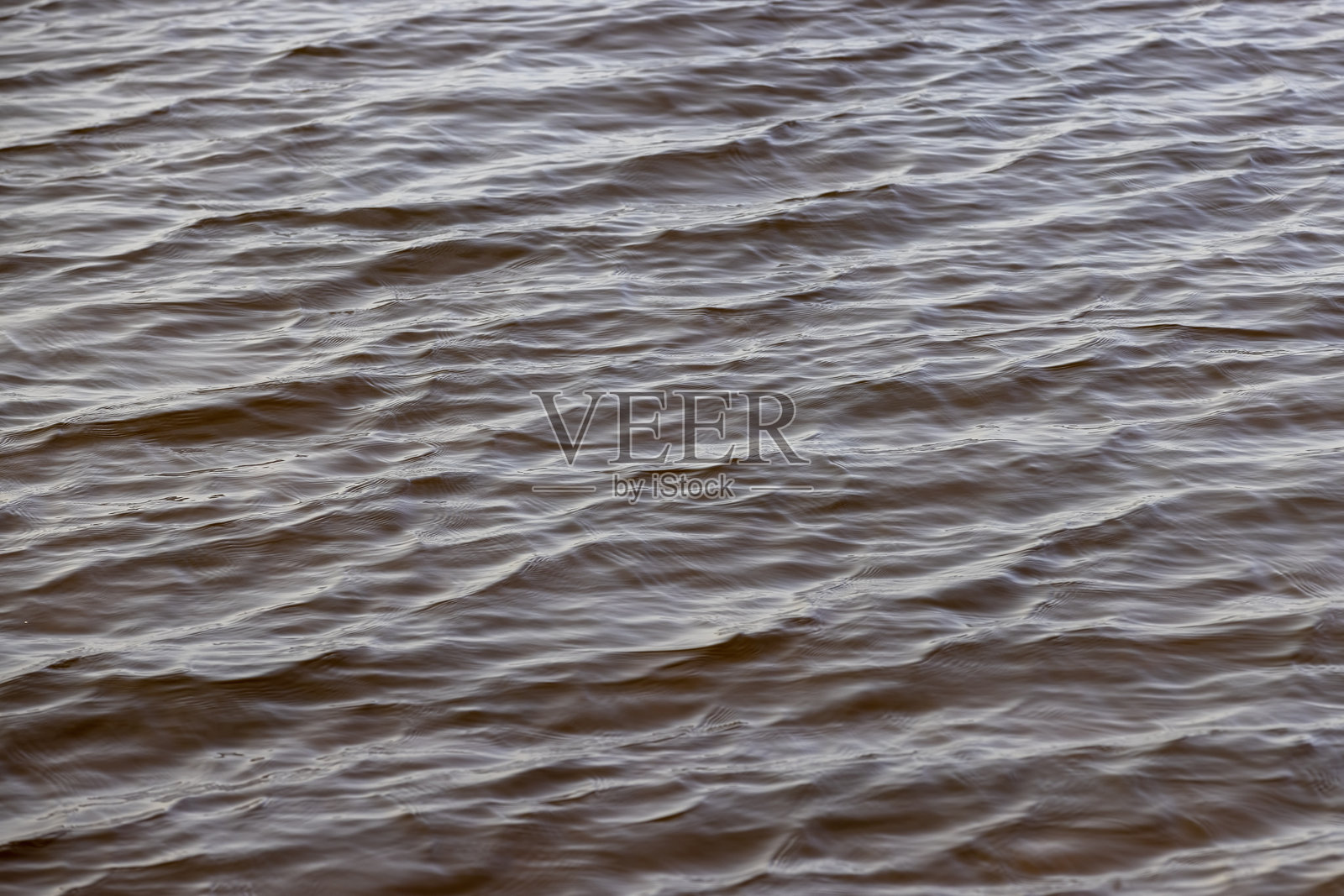 冬季没有雪的黑暗泥泞湖水照片摄影图片