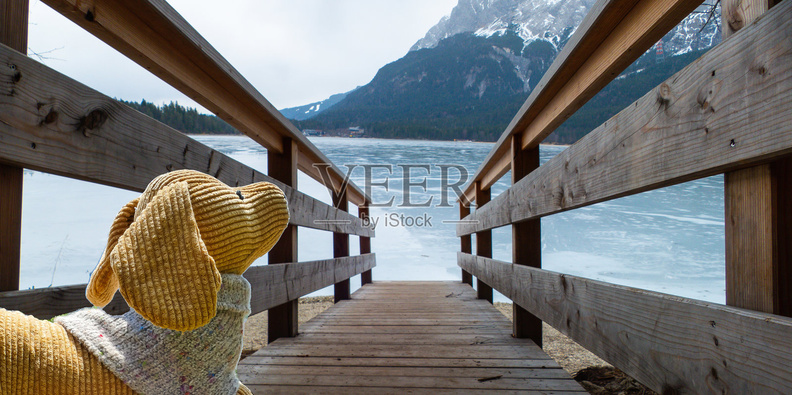 德国艾比湖木桥上的毛绒狗照片摄影图片
