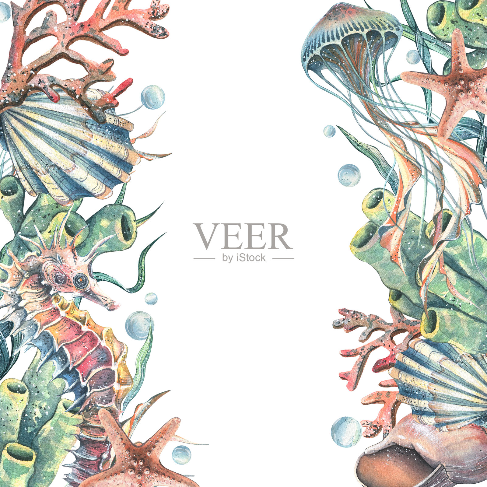 海马、水母、贝壳、珊瑚、海星、海绵、藻类、卵石和气泡。手绘水彩插图展示海洋动物和水下场景。文本的方形模板框架。插画图片素材