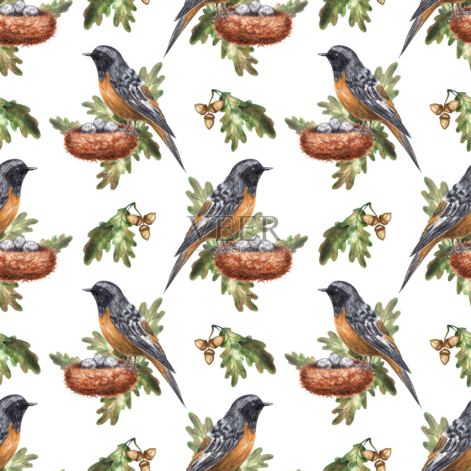 红尾鸲鸟、橡树叶、橡果。白色背景上的无缝图案，手绘水彩。适用于纸张、纺织品、设计、装饰、壁纸。插画图片素材