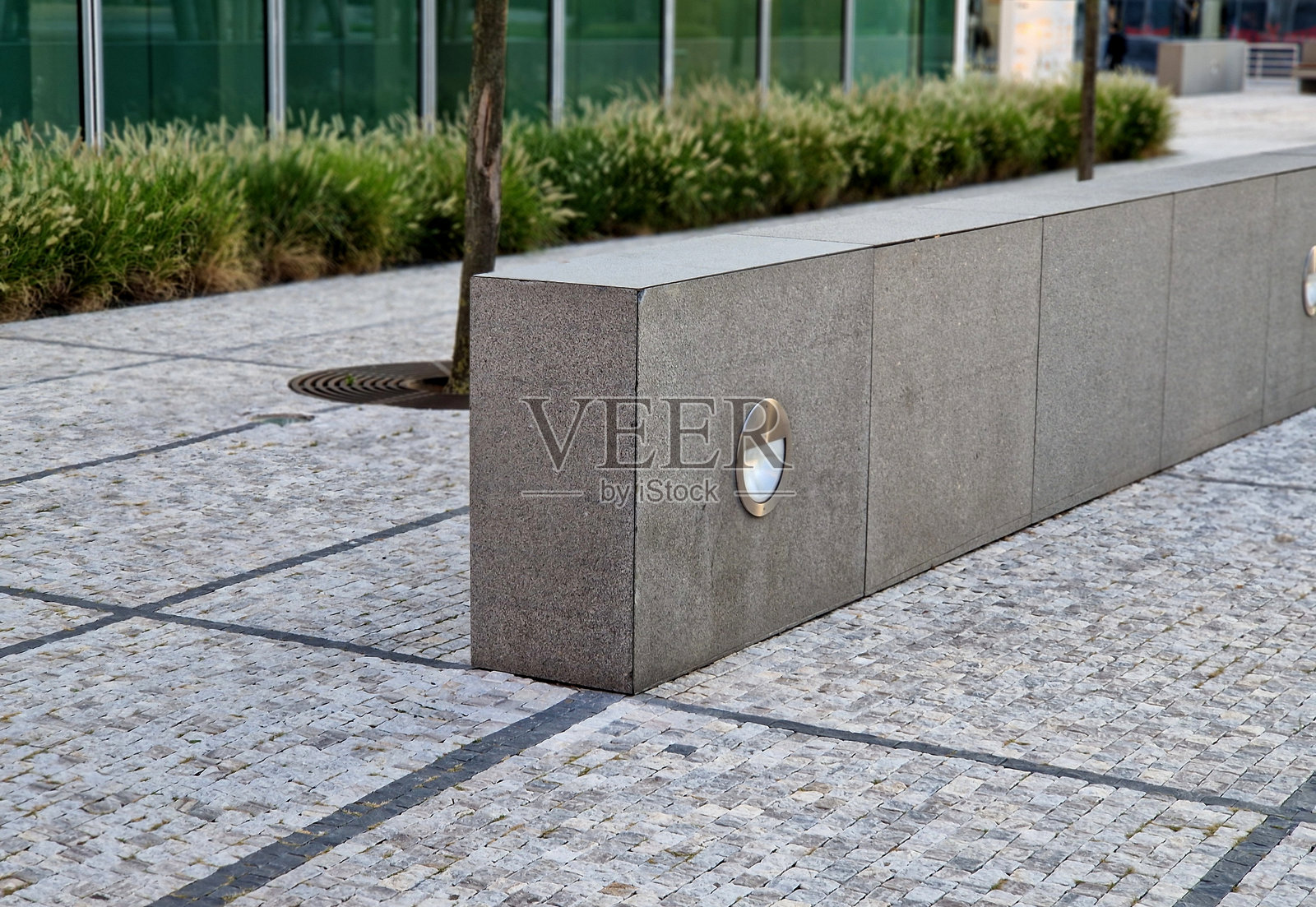 鹅卵石步道沿着缓坡而建，周围是一片 ornamental grass 的花朵在风中摇曳，宛如玉米田。商业区内有现代摩天大楼。照片摄影图片