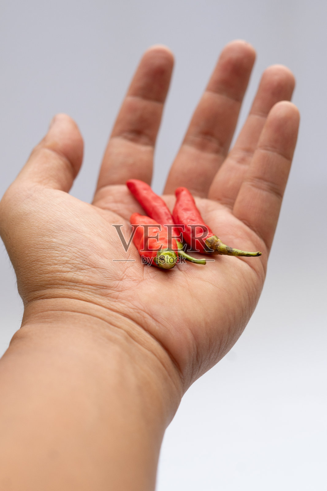 新鲜采摘的成熟红辣椒，直接来自植物，突出鲜艳的色彩和自然的质感，适合食品、农业和烹饪项目。照片摄影图片