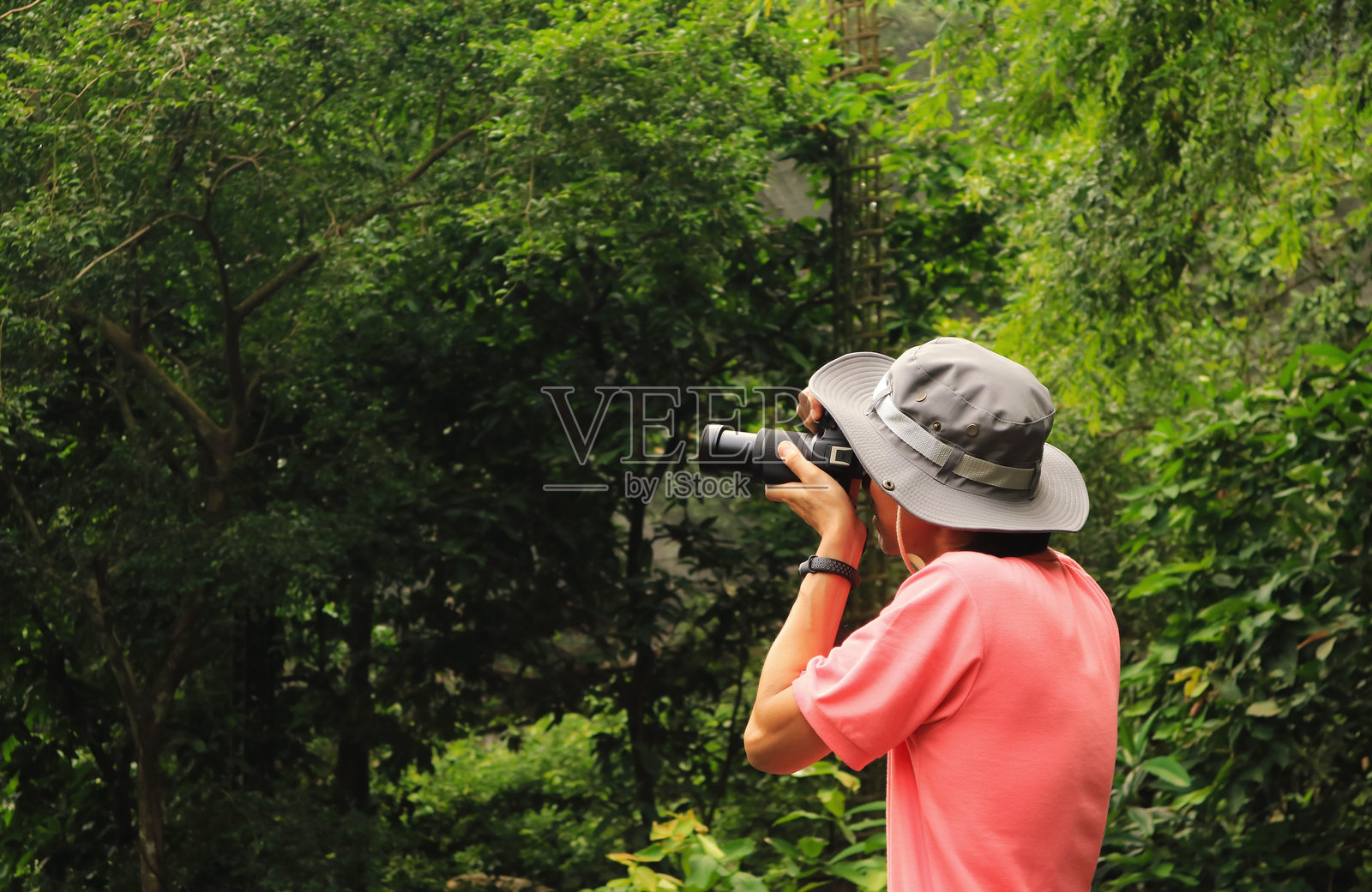 摄影师在森林里拍照照片摄影图片