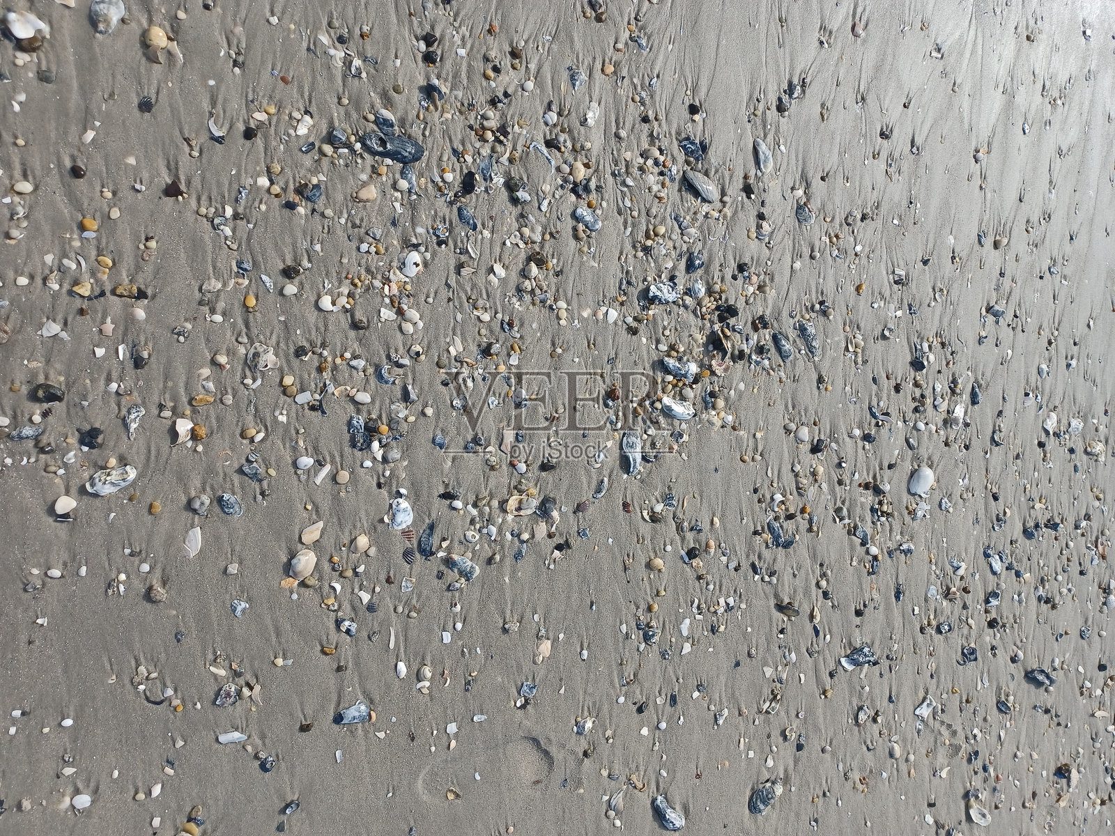 沙滩宝藏照片摄影图片