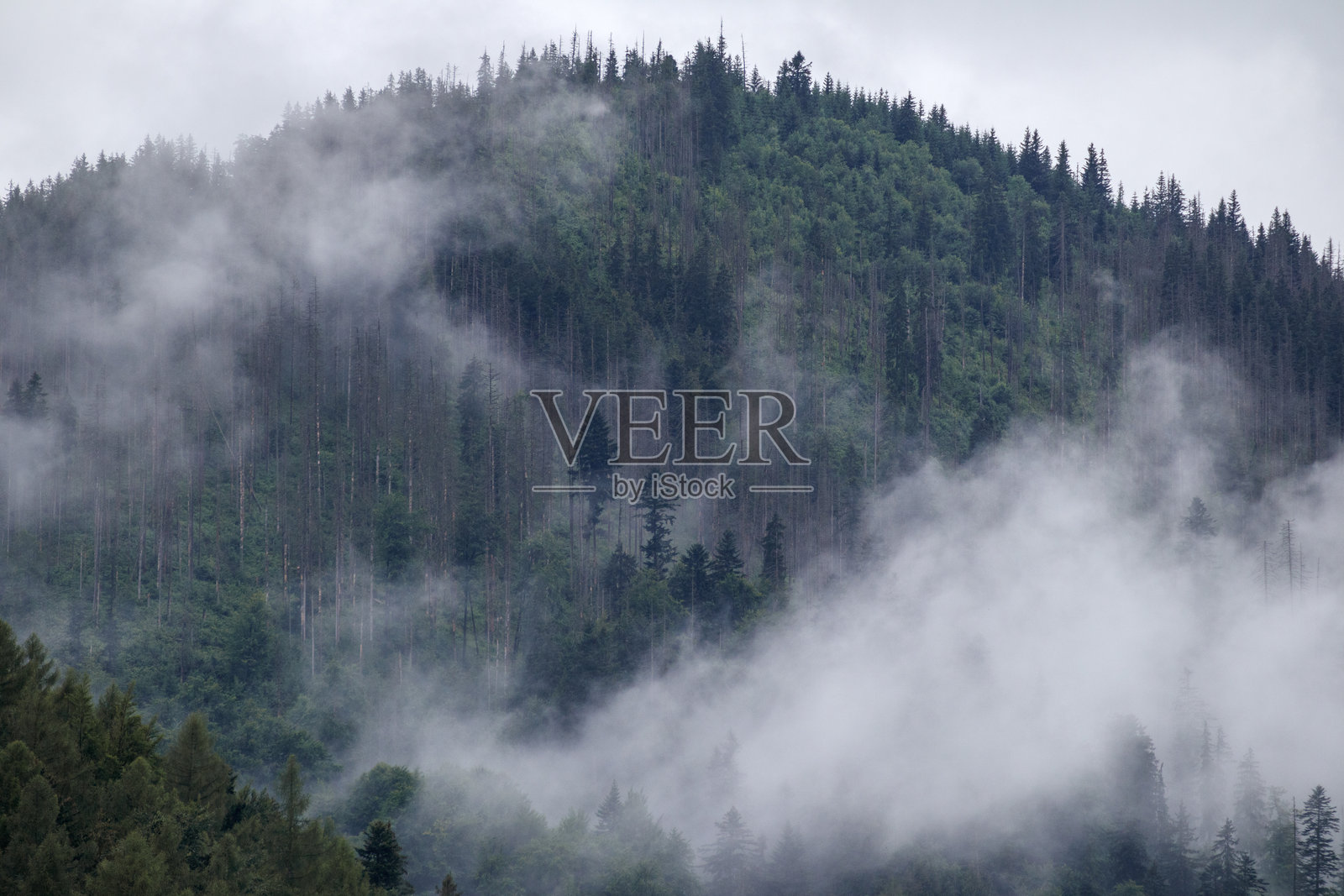 雨前山上的雾照片摄影图片