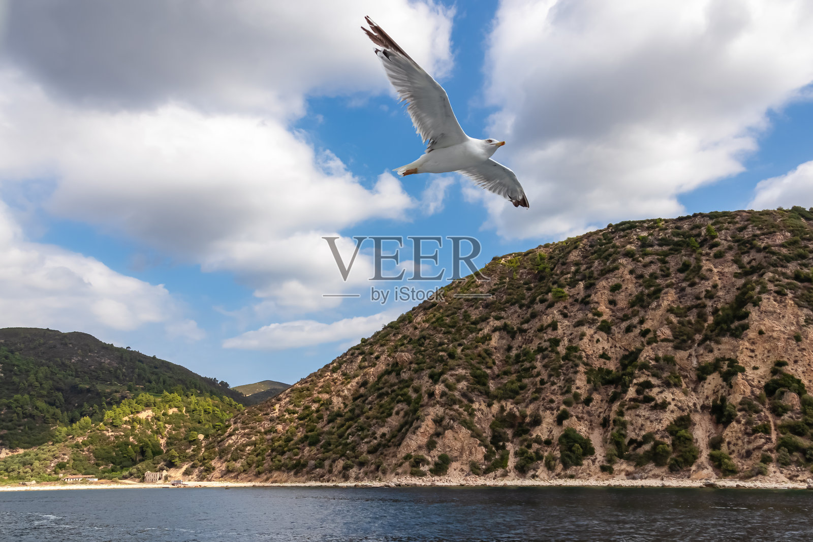 阿陀斯山-白色海鸥沿着阿陀斯半岛的海岸线飞行，Chalkidiki，马其顿中部，希腊，欧洲照片摄影图片