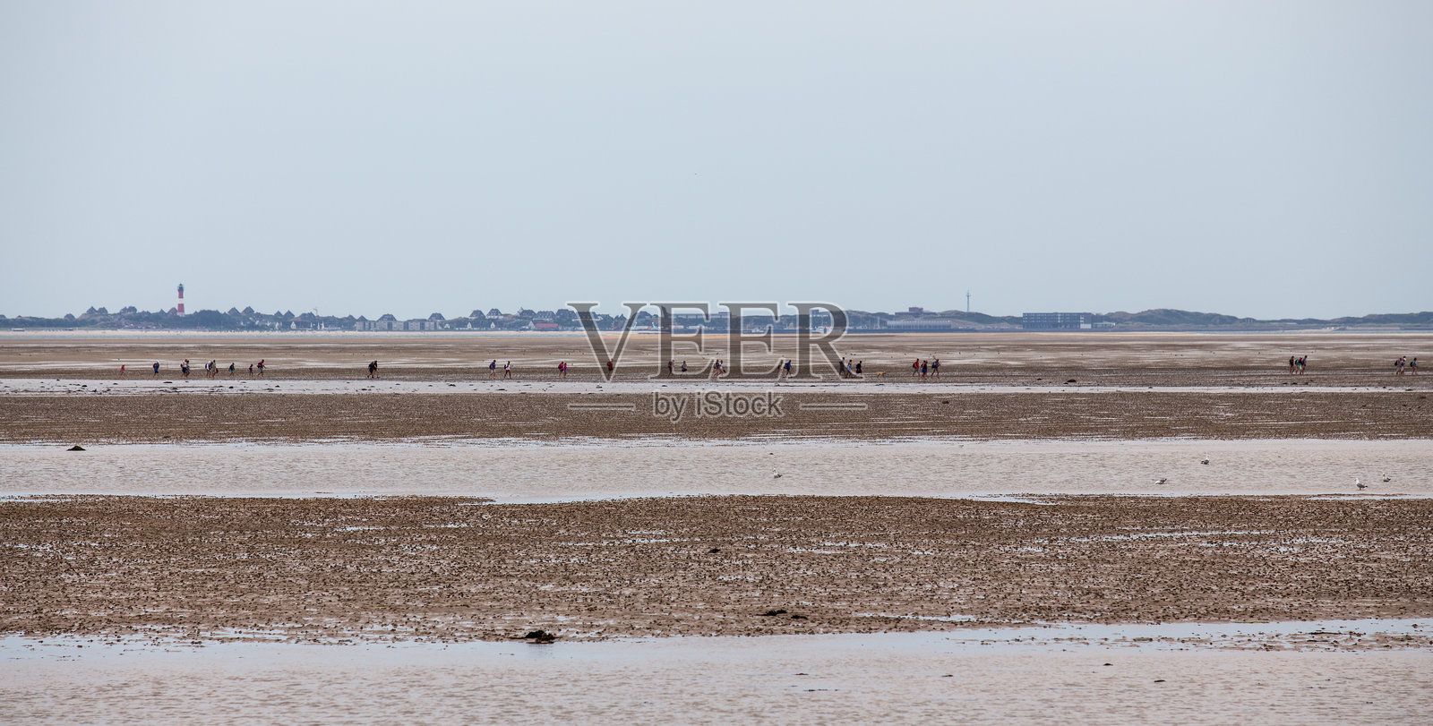 在德国北海的泥滩上徒步旅行照片摄影图片