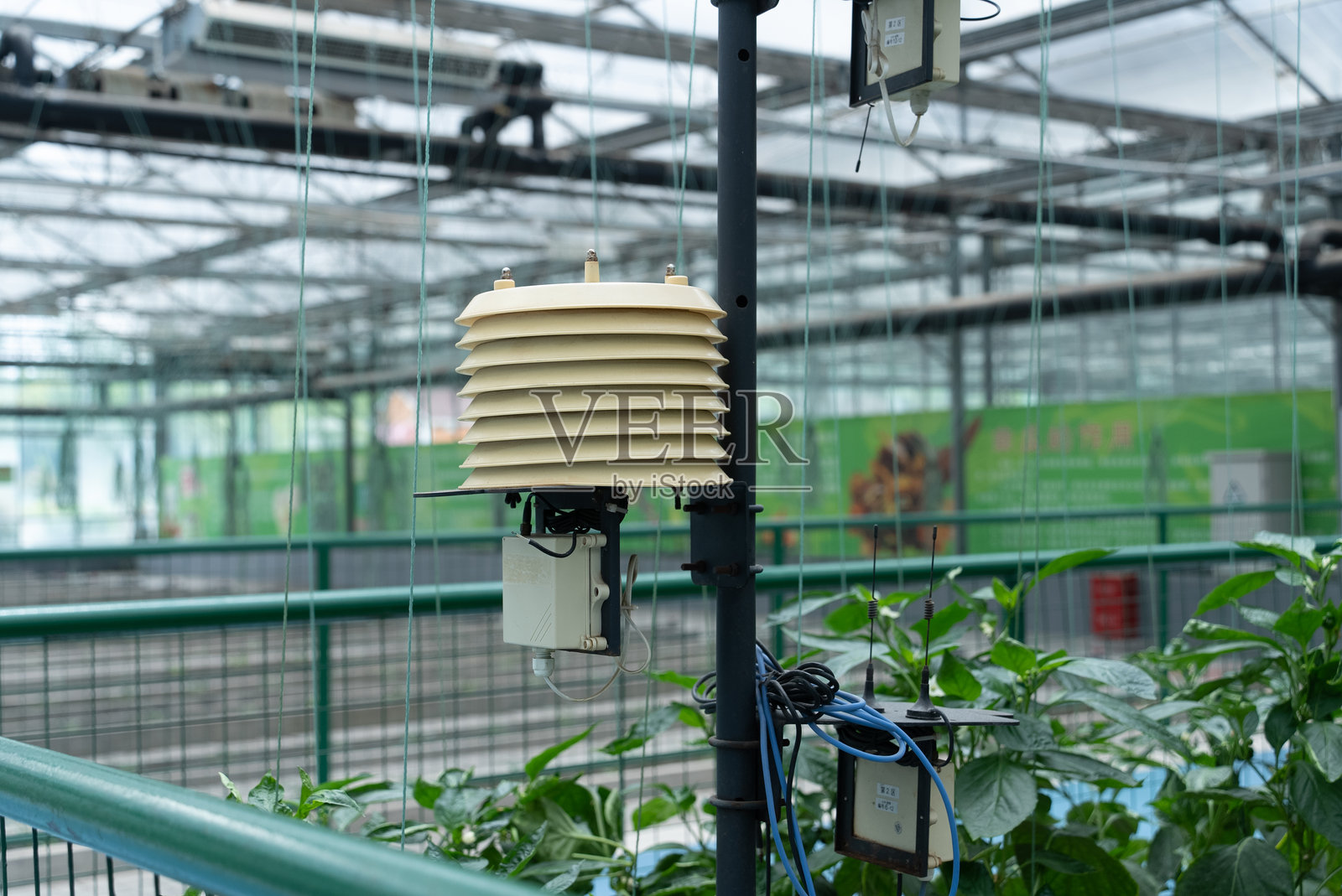 大棚滴管技术设备照片摄影图片