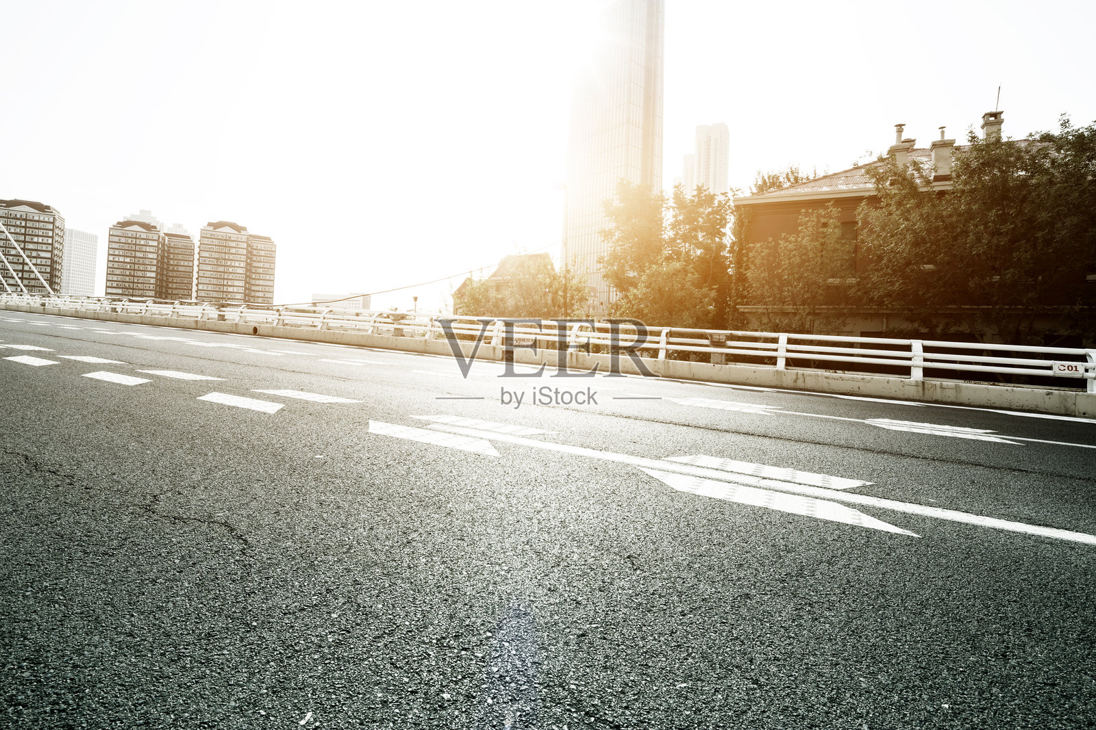 现代城市拉索桥柏油路照片摄影图片