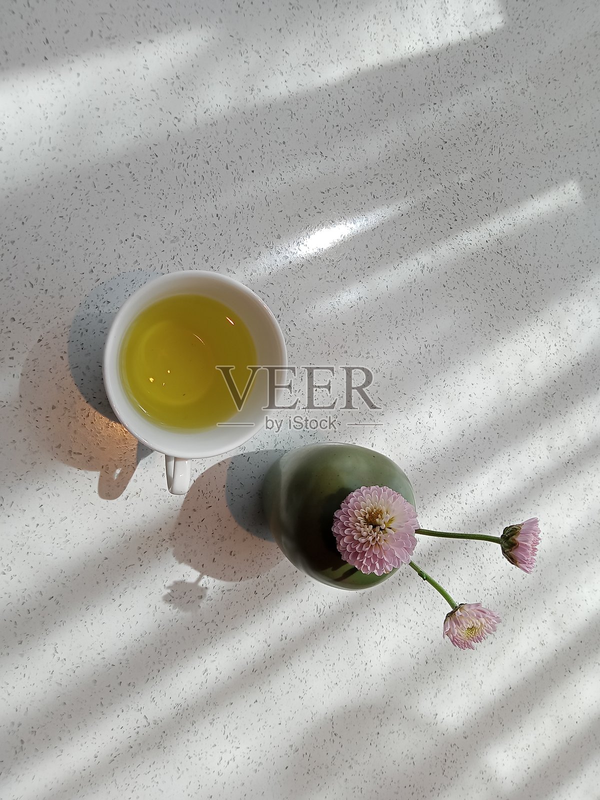 桌子上的菊花照片摄影图片