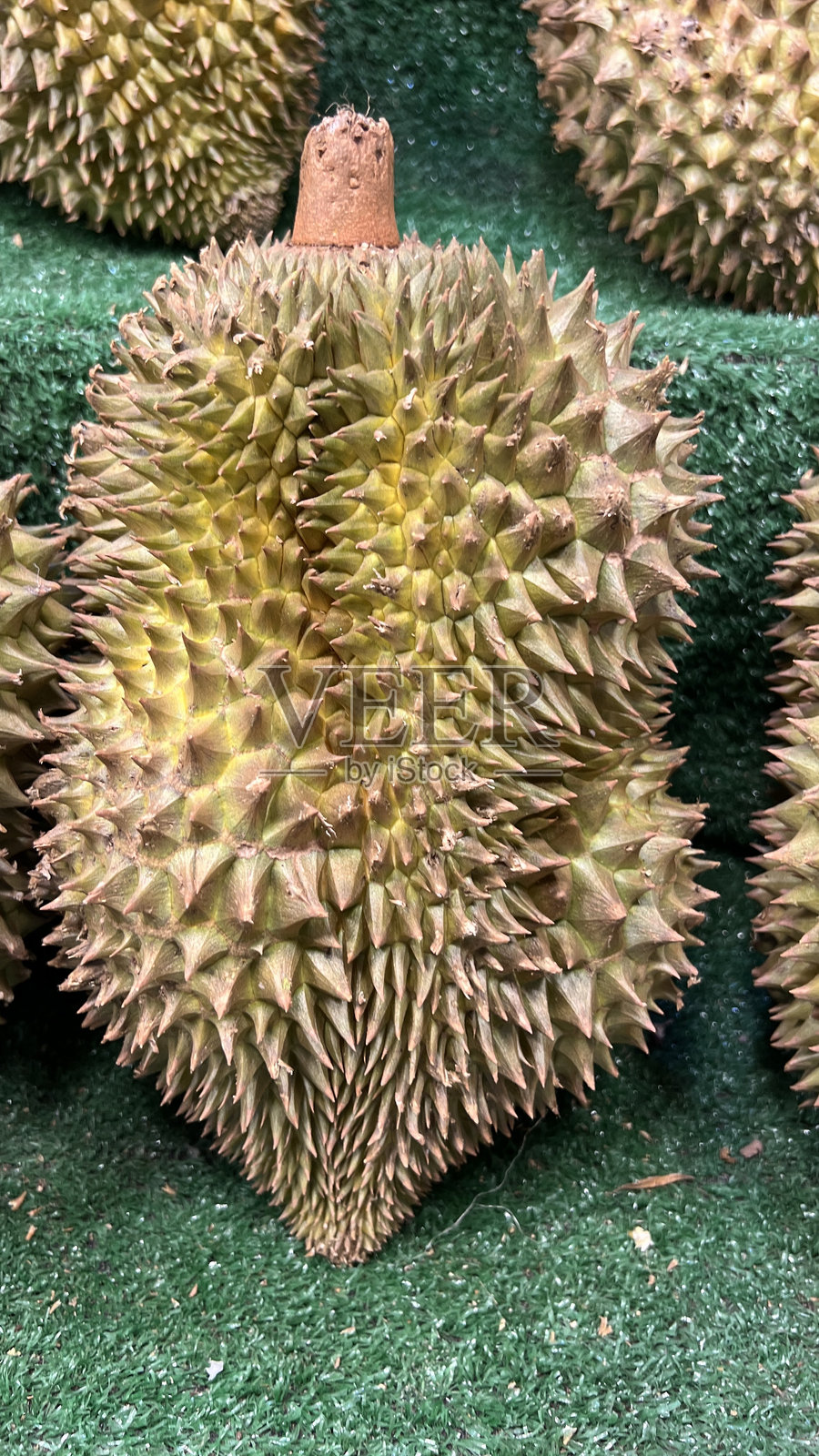 榴莲是一种热带水果，在东南亚被称为水果之王。在水果市场上销售榴莲。榴莲果实特写，采用选择性对焦和模糊效果。照片摄影图片