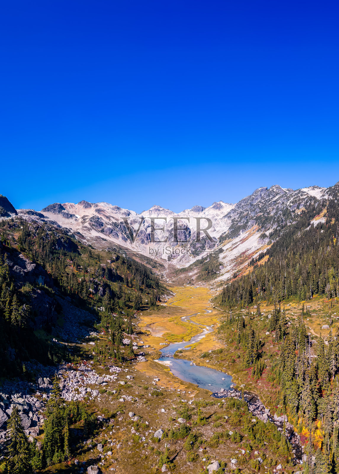 加拿大山景中绿树环绕的河流航拍全景照片摄影图片