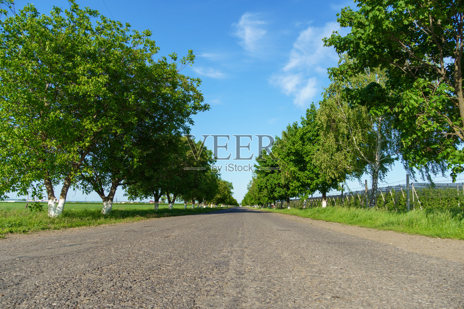 夏季的乡村道路，美丽的夏季风景照片摄影图片