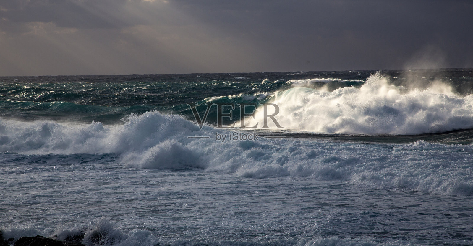 奄美の自然照片摄影图片