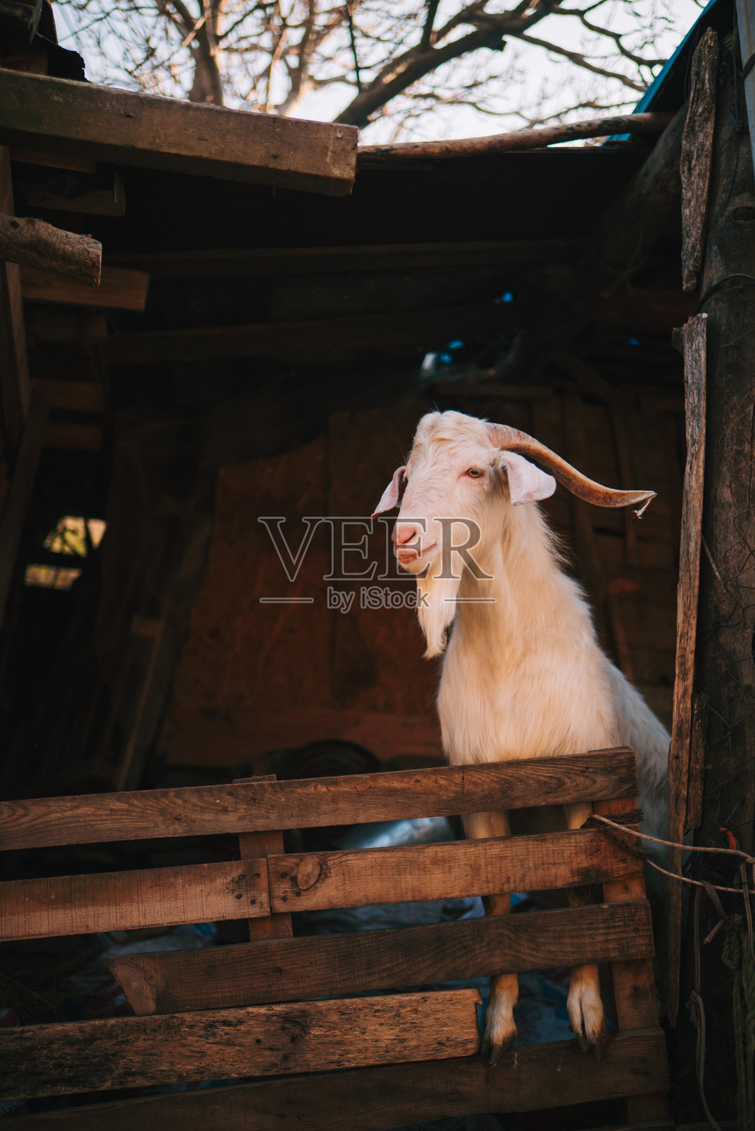土耳其伊兹密尔地区的Şirince村庄景观照片摄影图片