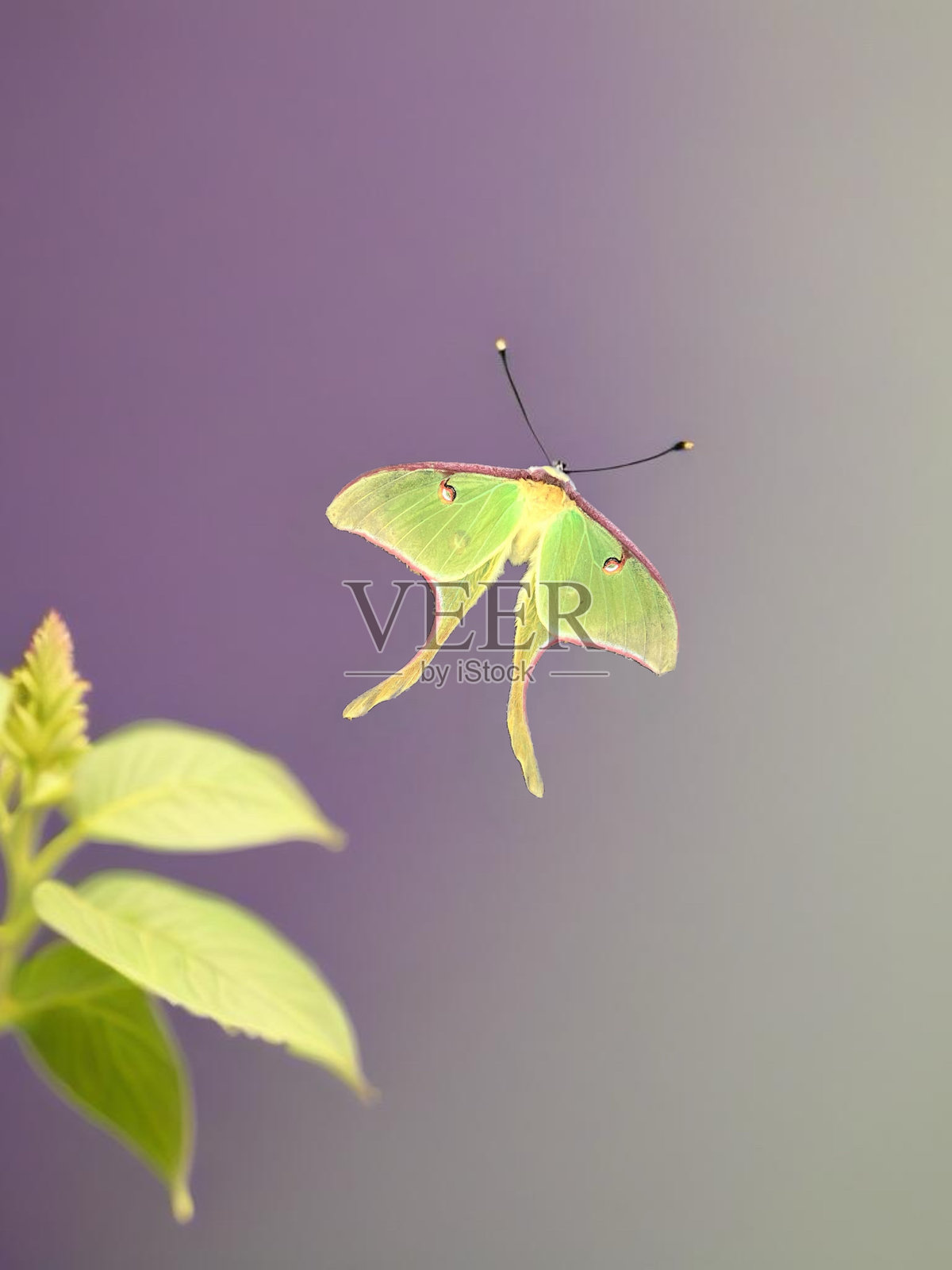 自由生活照片摄影图片