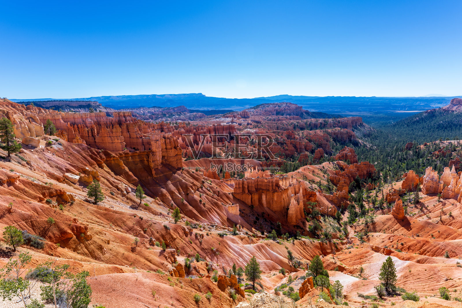 早晨的布莱斯峡谷照片摄影图片