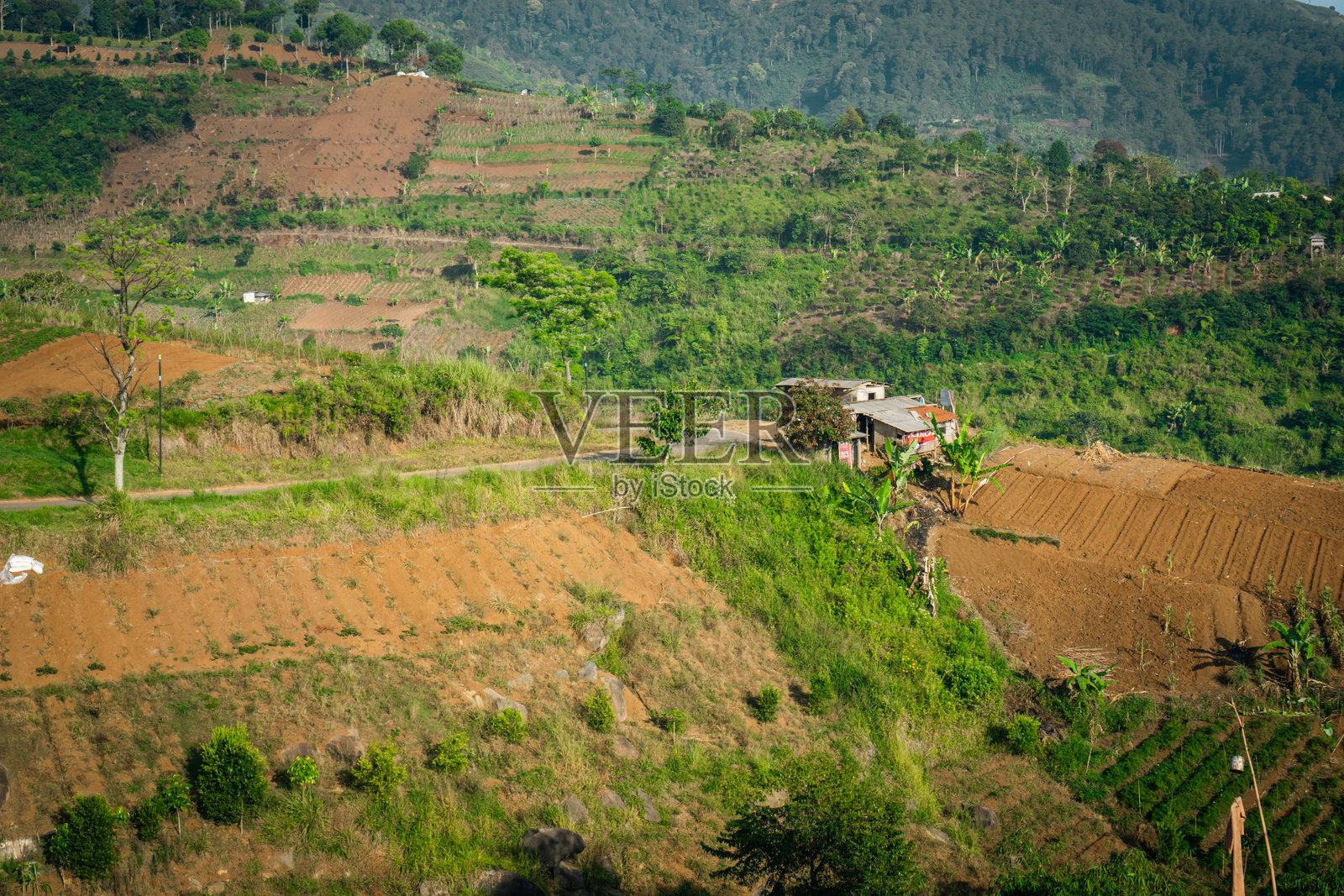 自然照片摄影图片