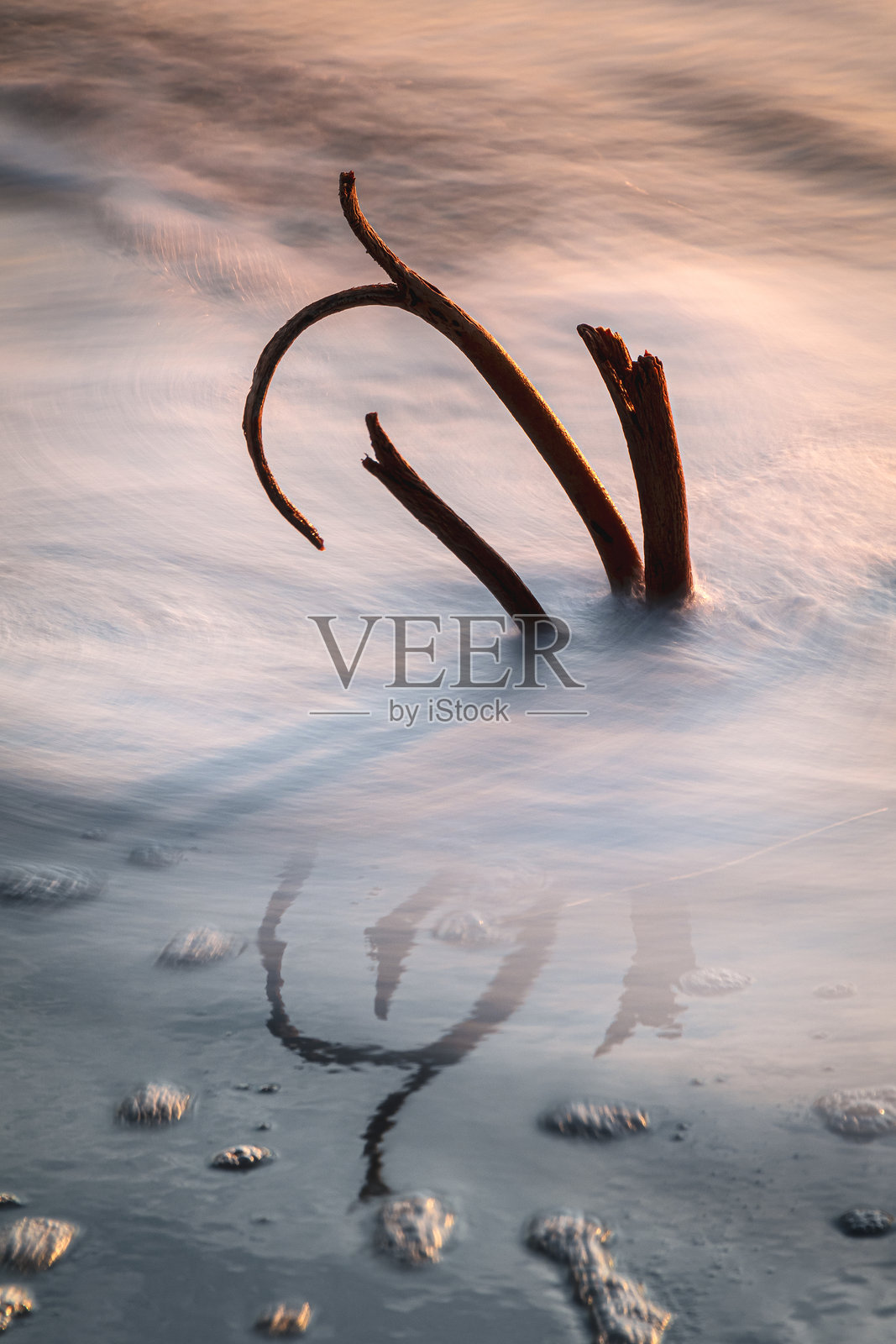 温哥华岛海岸线照片摄影图片