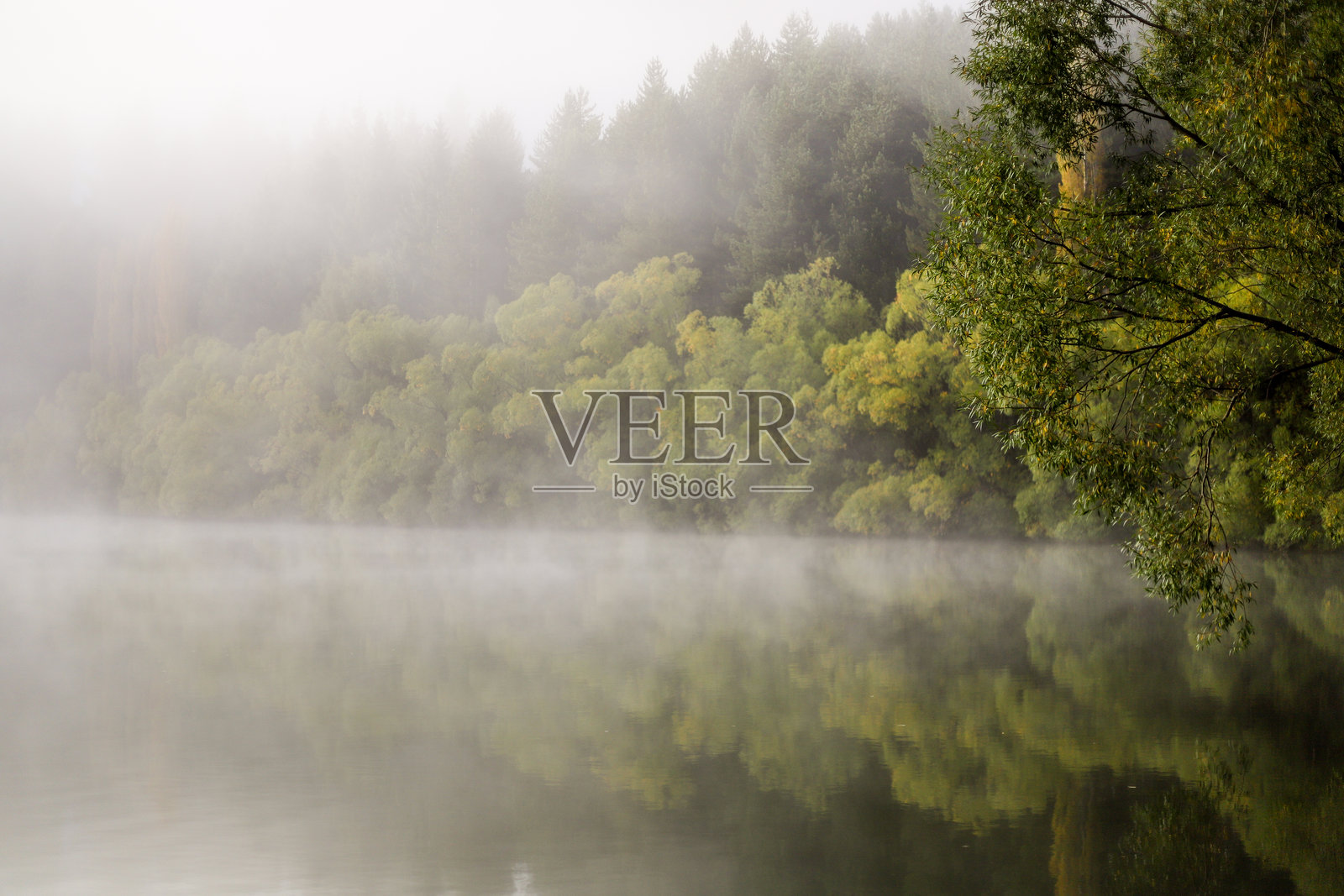 雾蒙蒙的早晨照片摄影图片