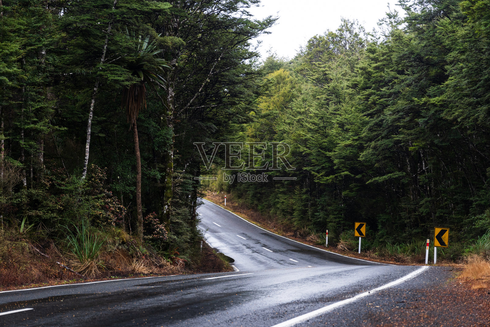 通往图罗阿的风景公路 - 奥哈库内山路的景色照片摄影图片
