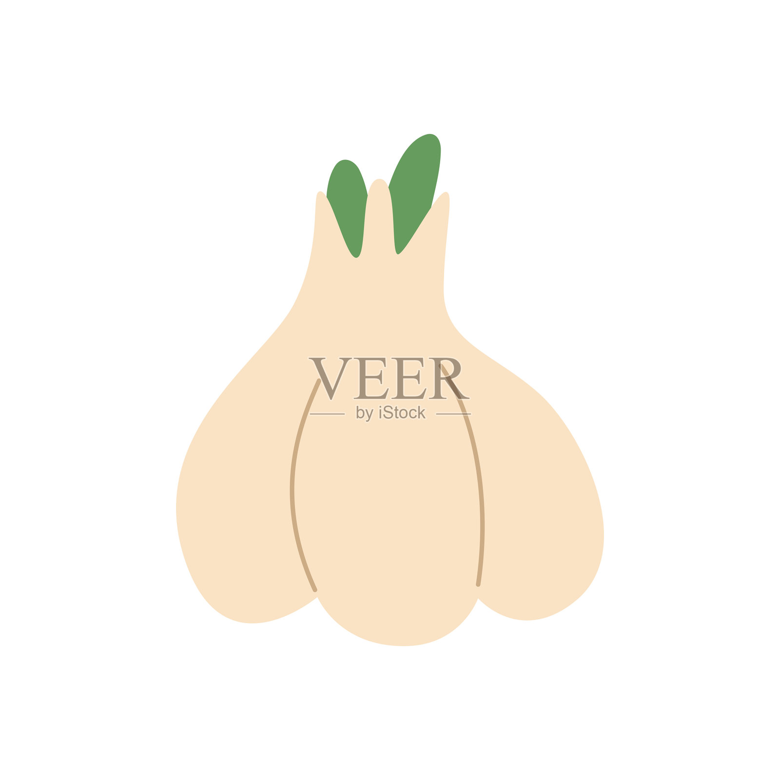 新鲜手绘大蒜。食品调味品。健康饮食。插画图片素材