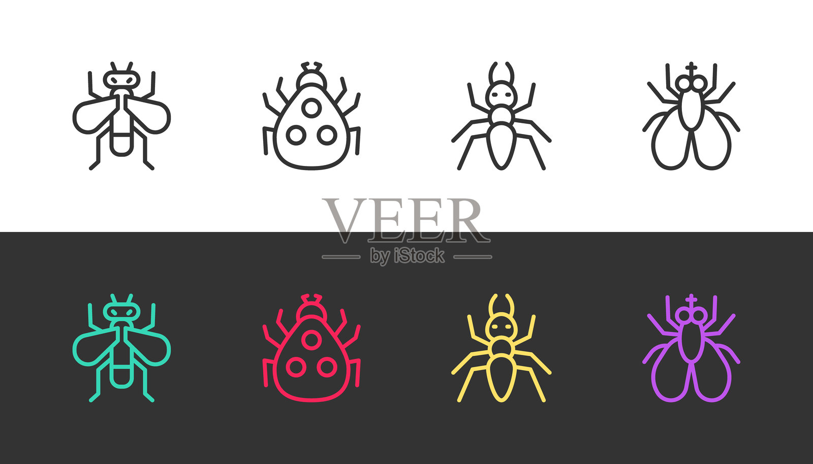 黑白线条风格的昆虫：苍蝇、瓢虫、蚂蚁，矢量图。插画图片素材