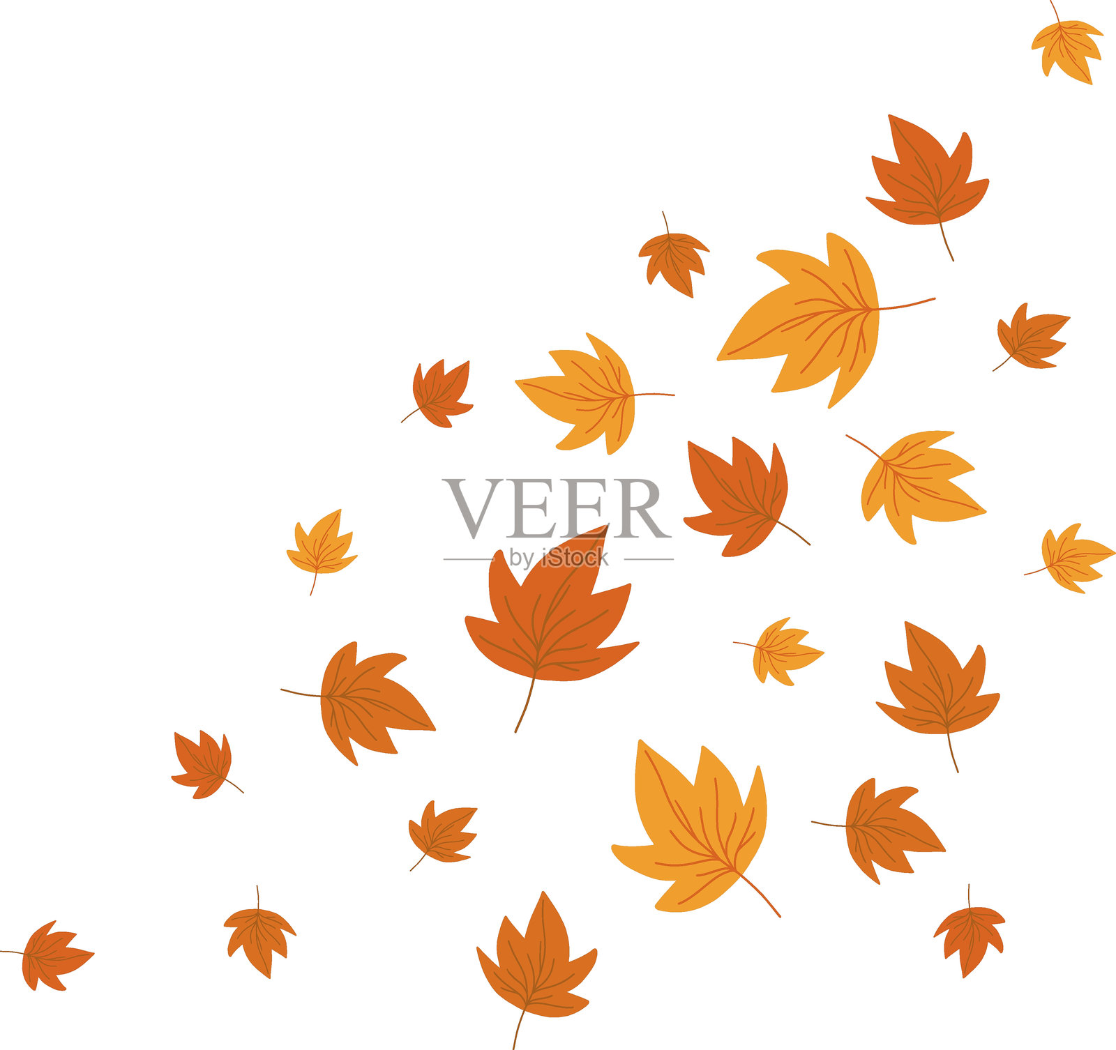 秋天的枫叶飘落。叶子旋转的边框。平面涂鸦秋季卡通元素。矢量插图，透明背景。插画图片素材