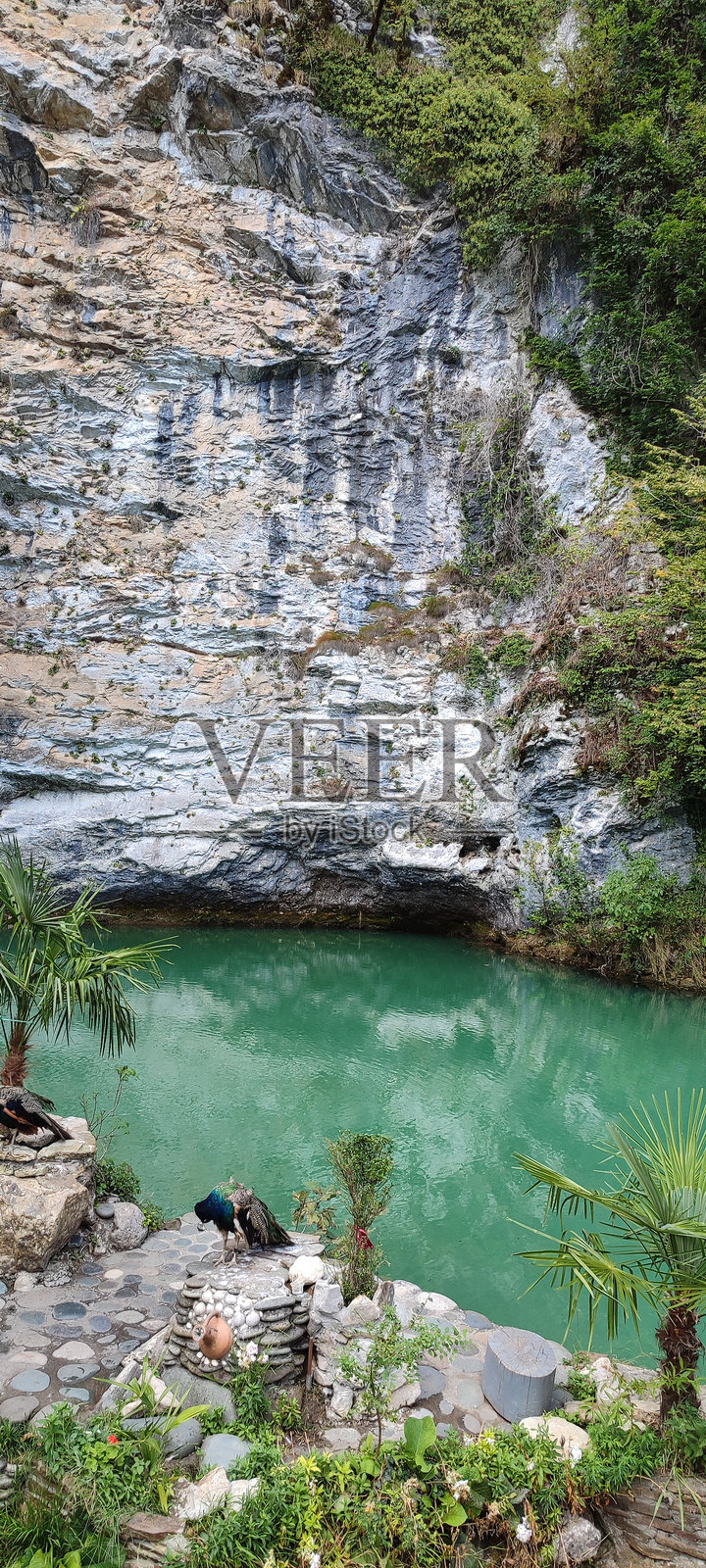 自然照片摄影图片