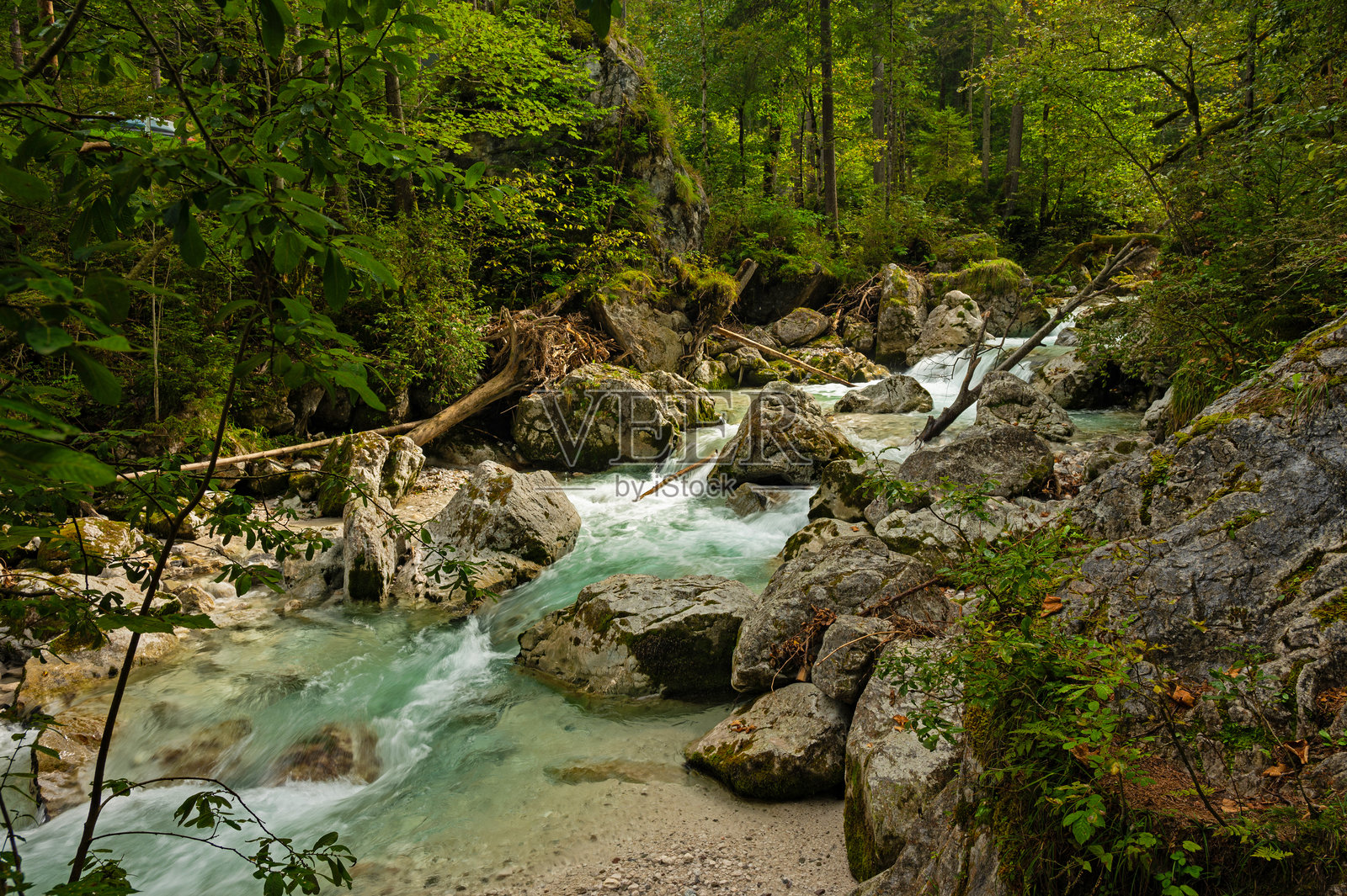 巴伐利亚阿尔卑斯山附近的拉姆绍魔法森林中的拉姆绍尔河照片摄影图片