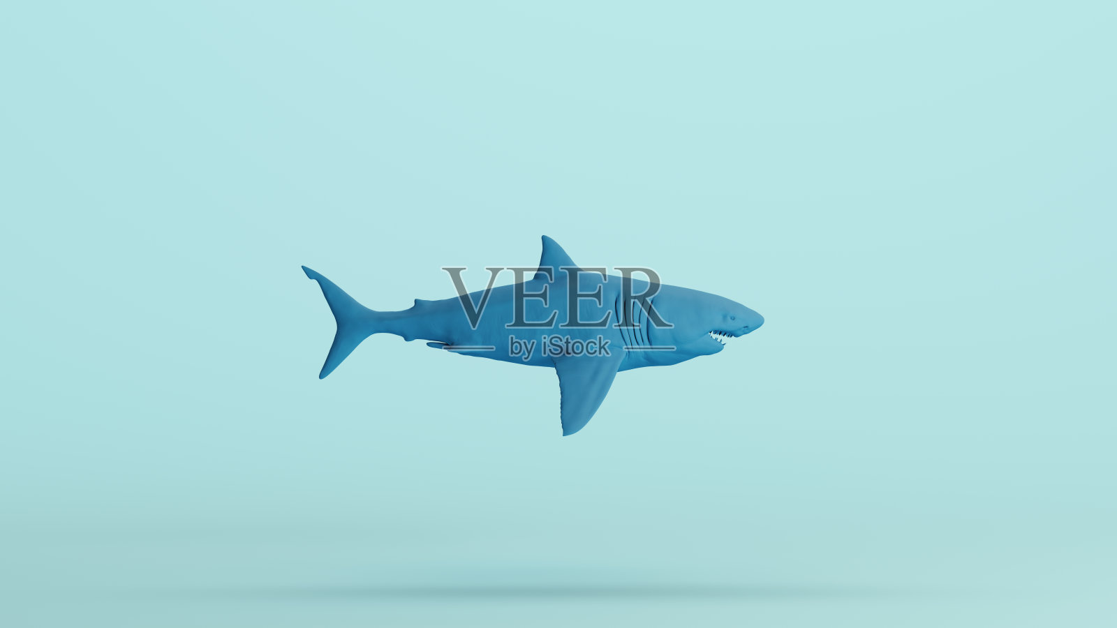 蓝鲨的下颚、牙齿、捕食者、猎手、食人者、浅色背景照片摄影图片