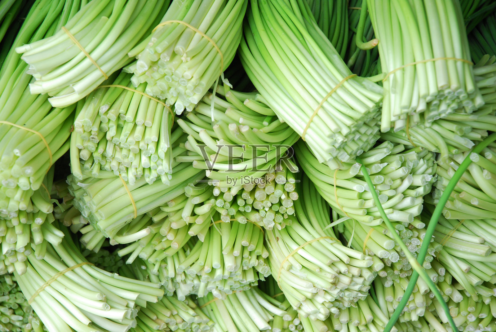 新鲜大蒜苗堆放出售照片摄影图片