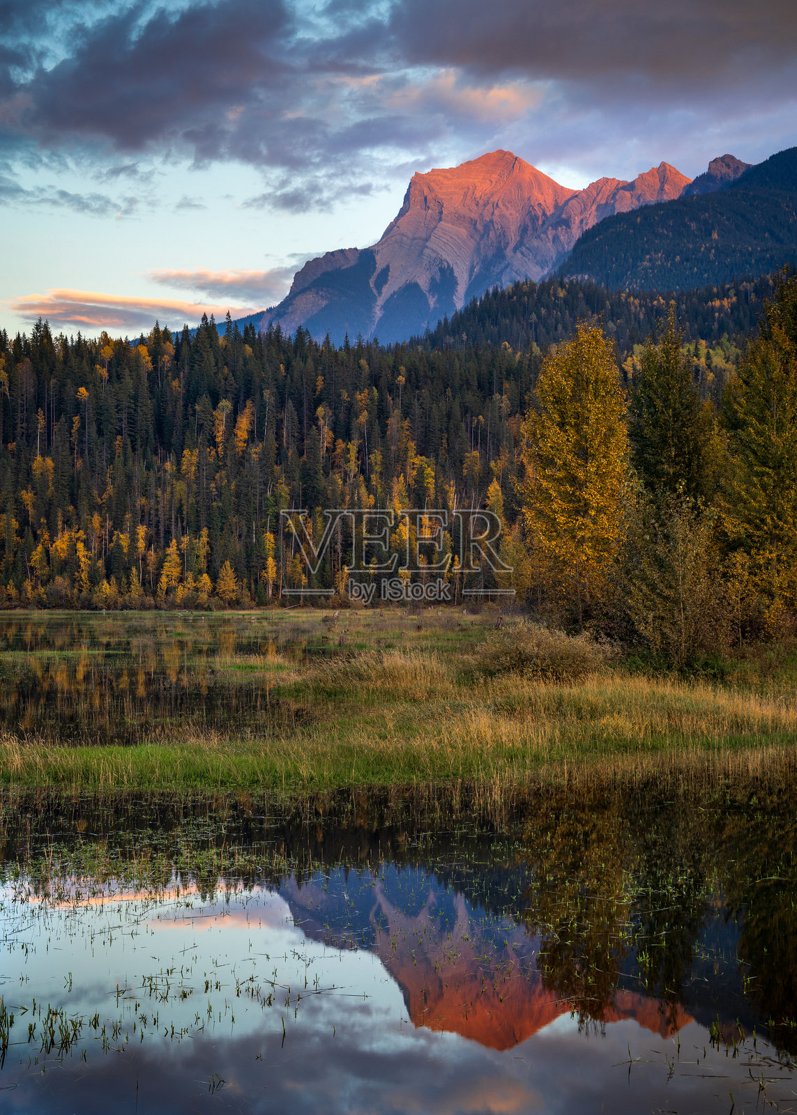 日落时分，宁静湖水中映照着阿尔卑斯光辉，周围是五彩斑斓的秋季森林。照片摄影图片