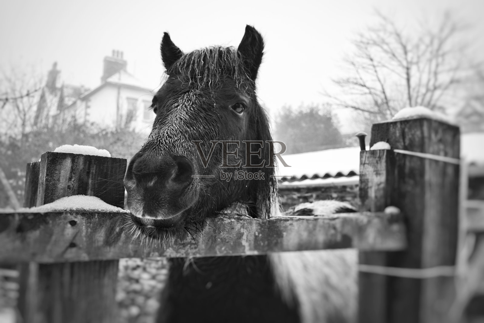 冬季的坎布里亚照片摄影图片