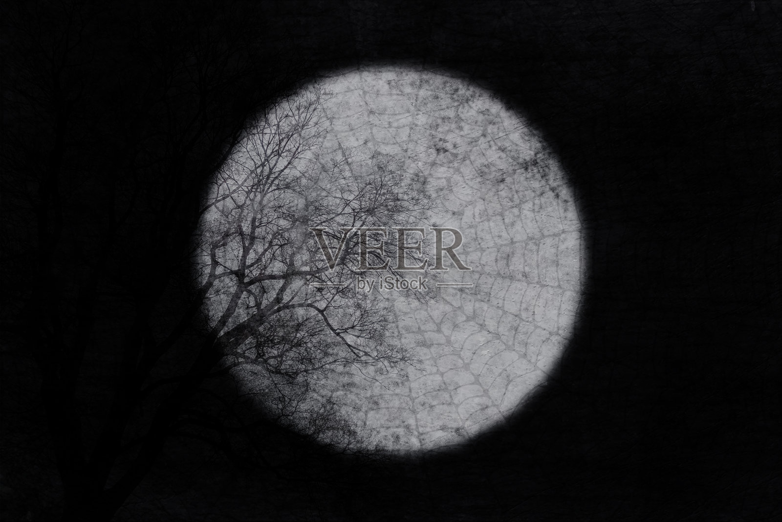 雾蒙蒙的恐怖满月午夜景象，空白的阴森可怕黑色横向万圣节背景，上面有褪色的阴森黑色蜘蛛网污迹和光秃秃的鬼魂树木，映衬着白色的满月。插画图片素材