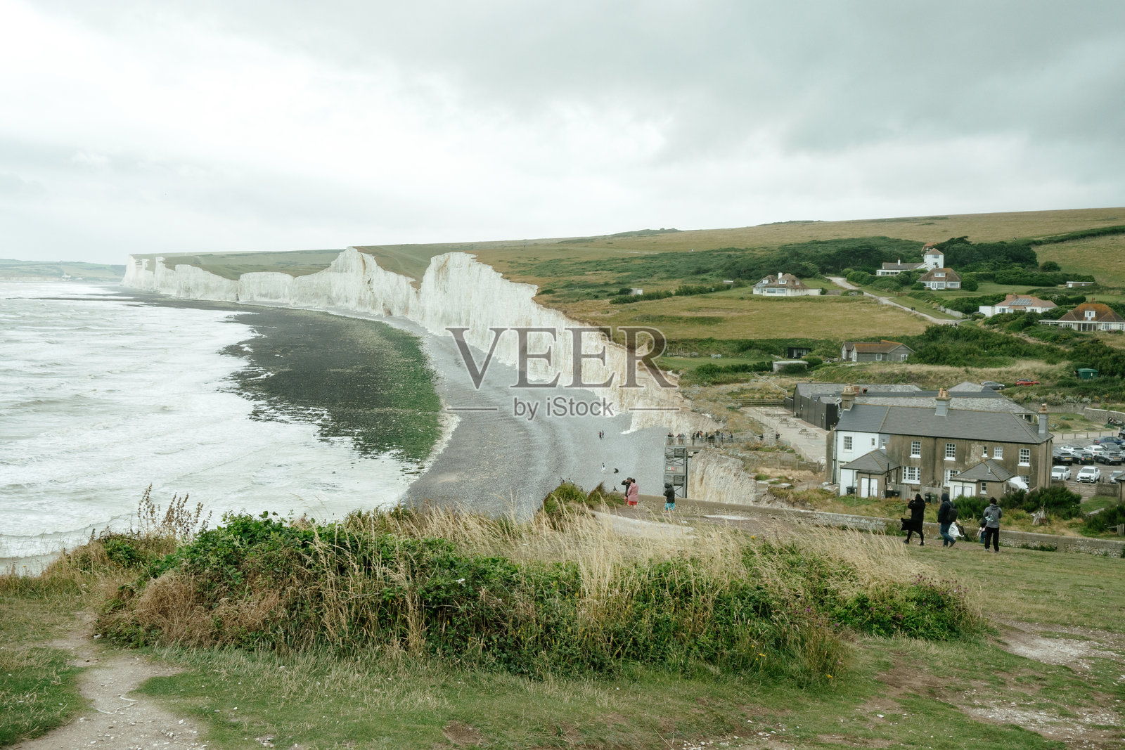 七姐妹白崖内生长的野生灌木丛照片摄影图片
