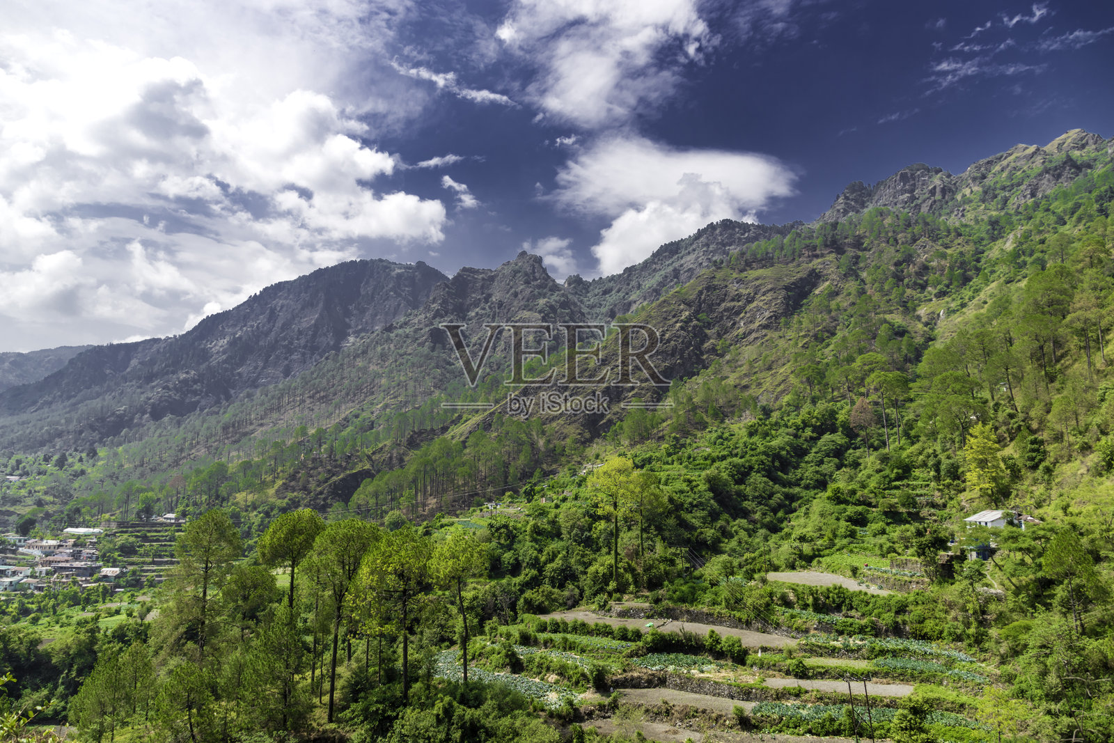 美丽的斯马诺拉山脉村庄位于印度乌塔拉坎德邦奈尼塔尔区的森林CD区和奈尼塔尔塔希尔。照片摄影图片