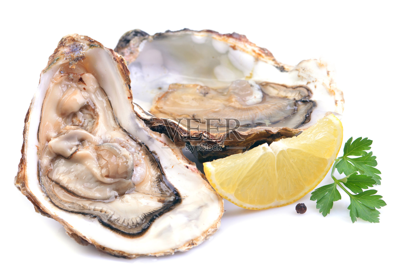 新鲜生蚝照片摄影图片