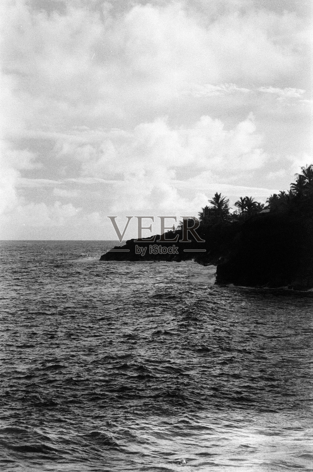 日落时分，岩石海岸线旁的棕榈树剪影照片摄影图片