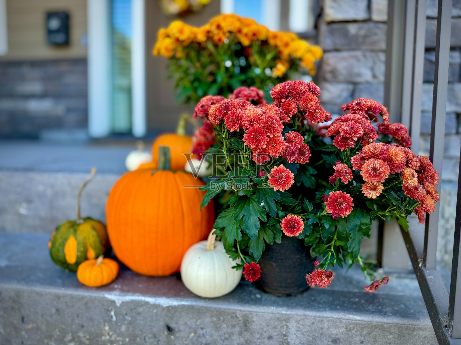 万圣节前夕的门廊上摆放着南瓜和菊花照片摄影图片