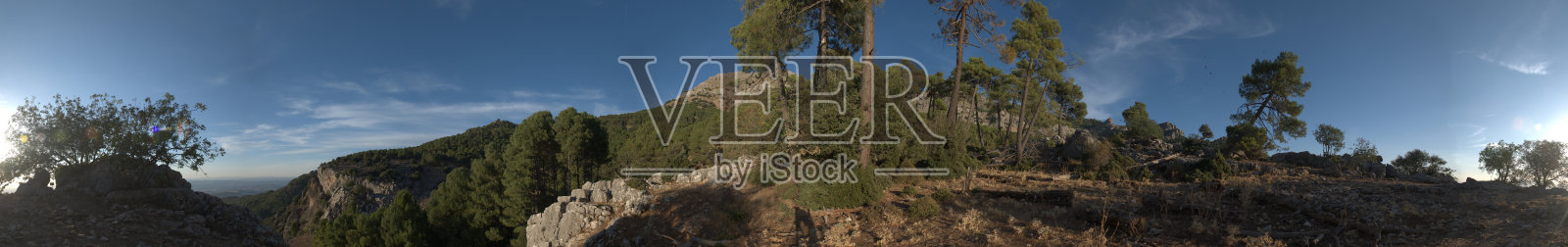 宁静森林景观的全景，起伏的山丘在晴朗的蓝天下，展现出生机勃勃的绿意和阳光投射出的柔和阴影。照片摄影图片