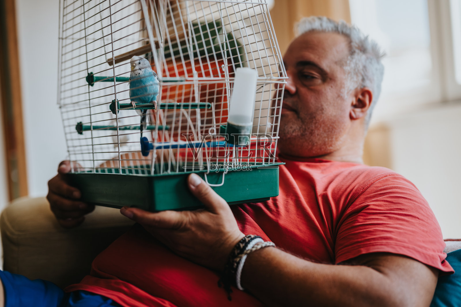 男人在客厅里抱着一个鸟笼，笼子里有一只鹦鹉。照片摄影图片