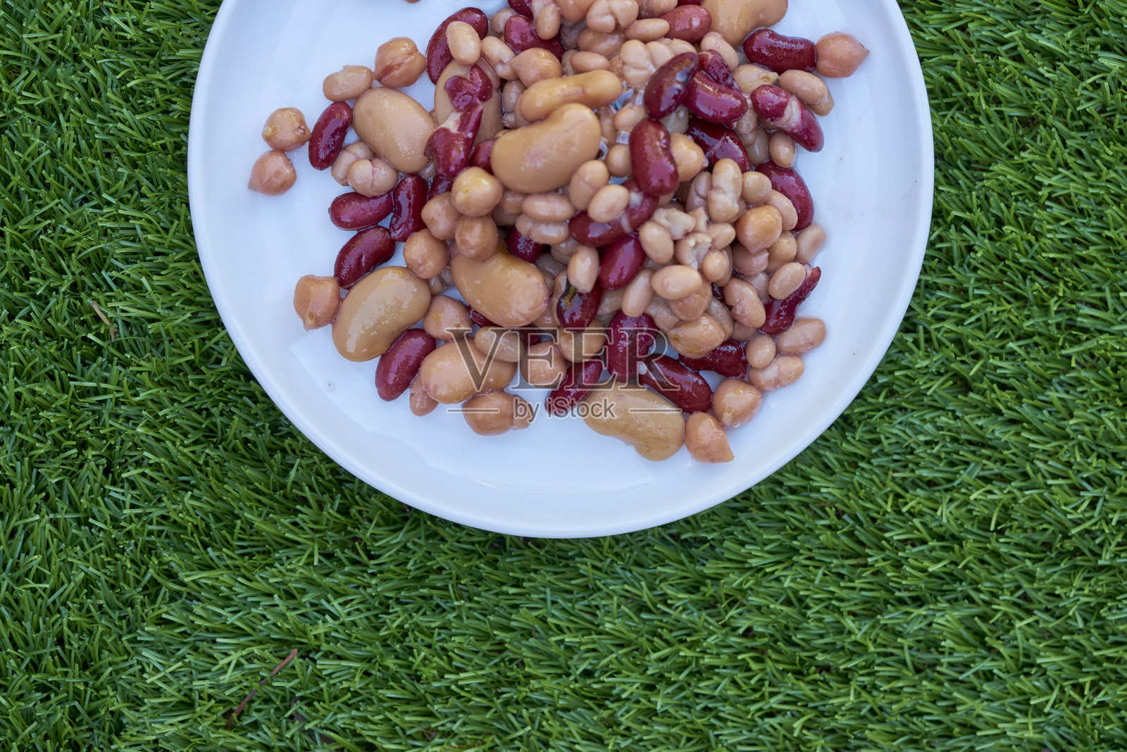 草地上盘子里的新鲜食物俯视图照片摄影图片