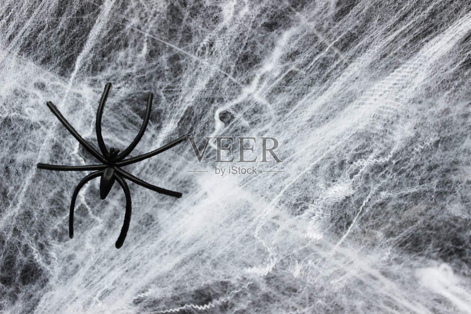 万圣节背景，带有蜘蛛网和蜘蛛照片摄影图片